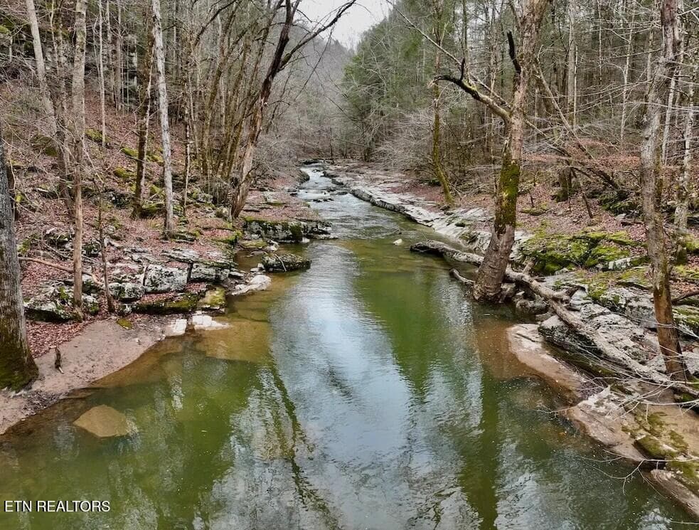PHOTO 3 - 7.08ac Hollow Creek Lane, Clarkrange, TN 38553
