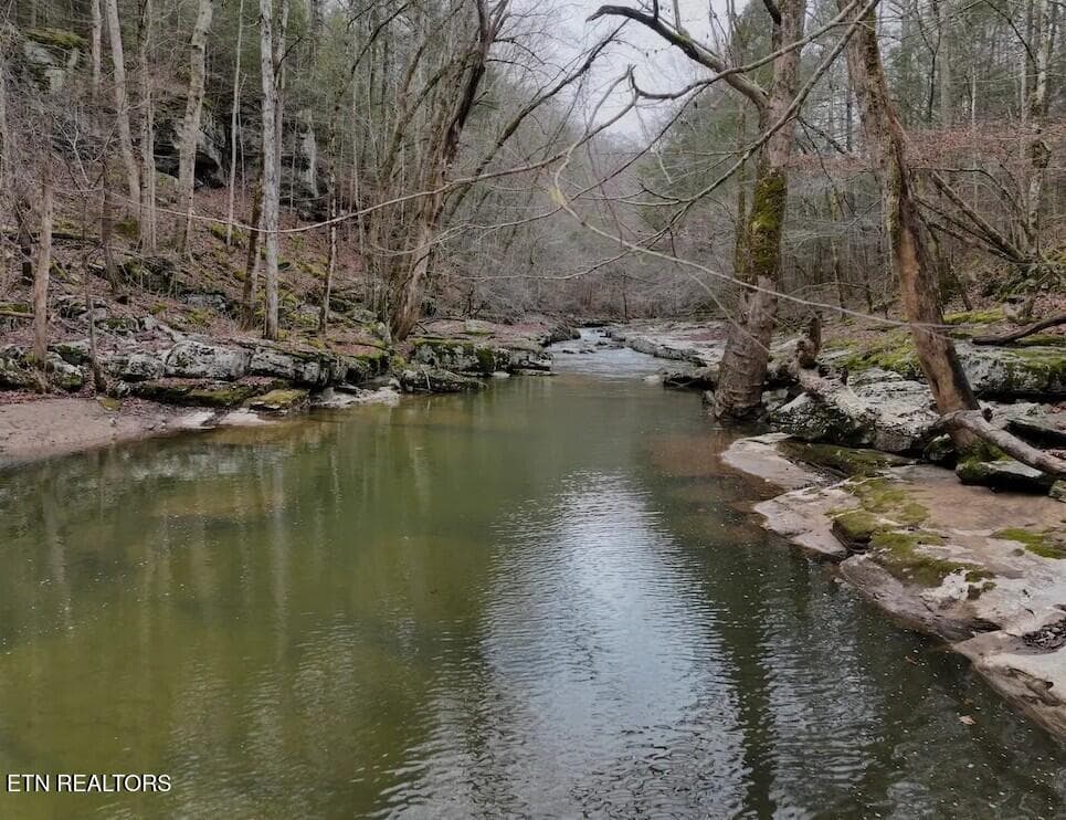 PHOTO 4 - 7.08ac Hollow Creek Lane, Clarkrange, TN 38553