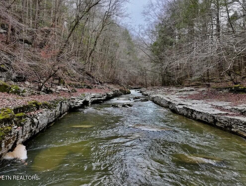 PHOTO 5 - 7.08ac Hollow Creek Lane, Clarkrange, TN 38553