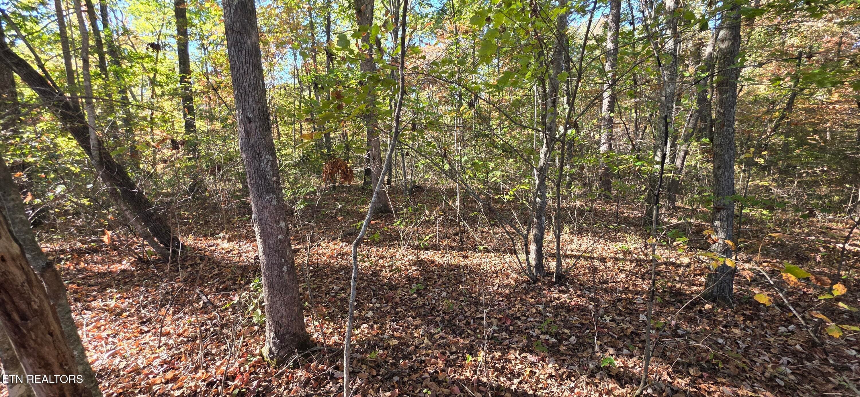 4 Austin Drive, Monterey, TN 38574