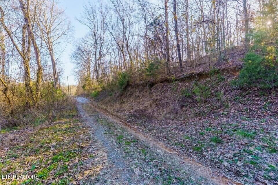 20250327180735869935000000-o - Douglas Dam Rd, Sevierville, TN 37876