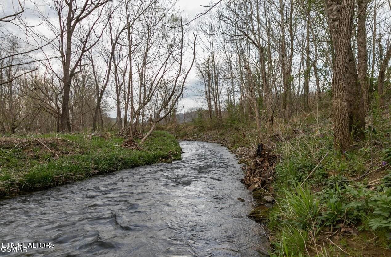 IMG_7490 - Lot B Tarwater Lane, Sevierville, TN 37862