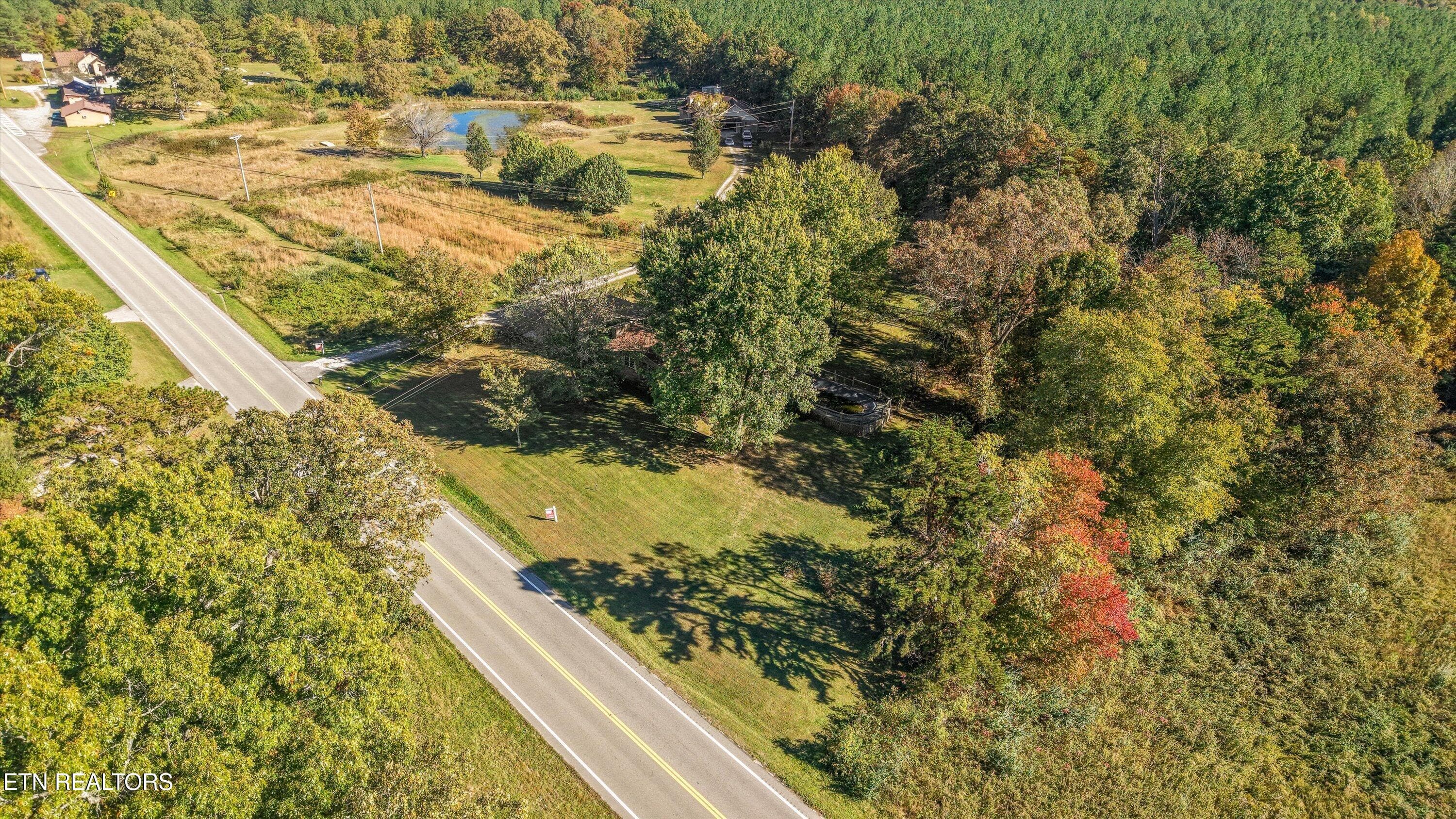 Mature Trees - 9438 Morgan County Hwy, Sunbright, TN 37872