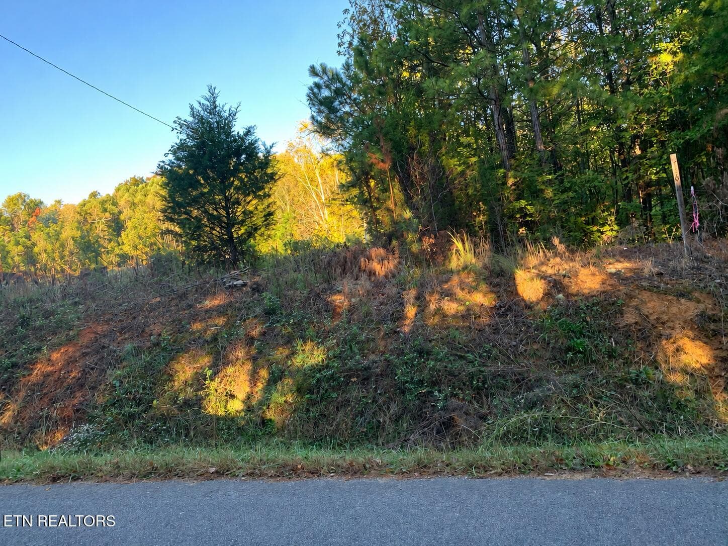 04472B2D-7841-4C65-B4D3-D033CCC709B1 - County Road 754, Riceville, TN 37370