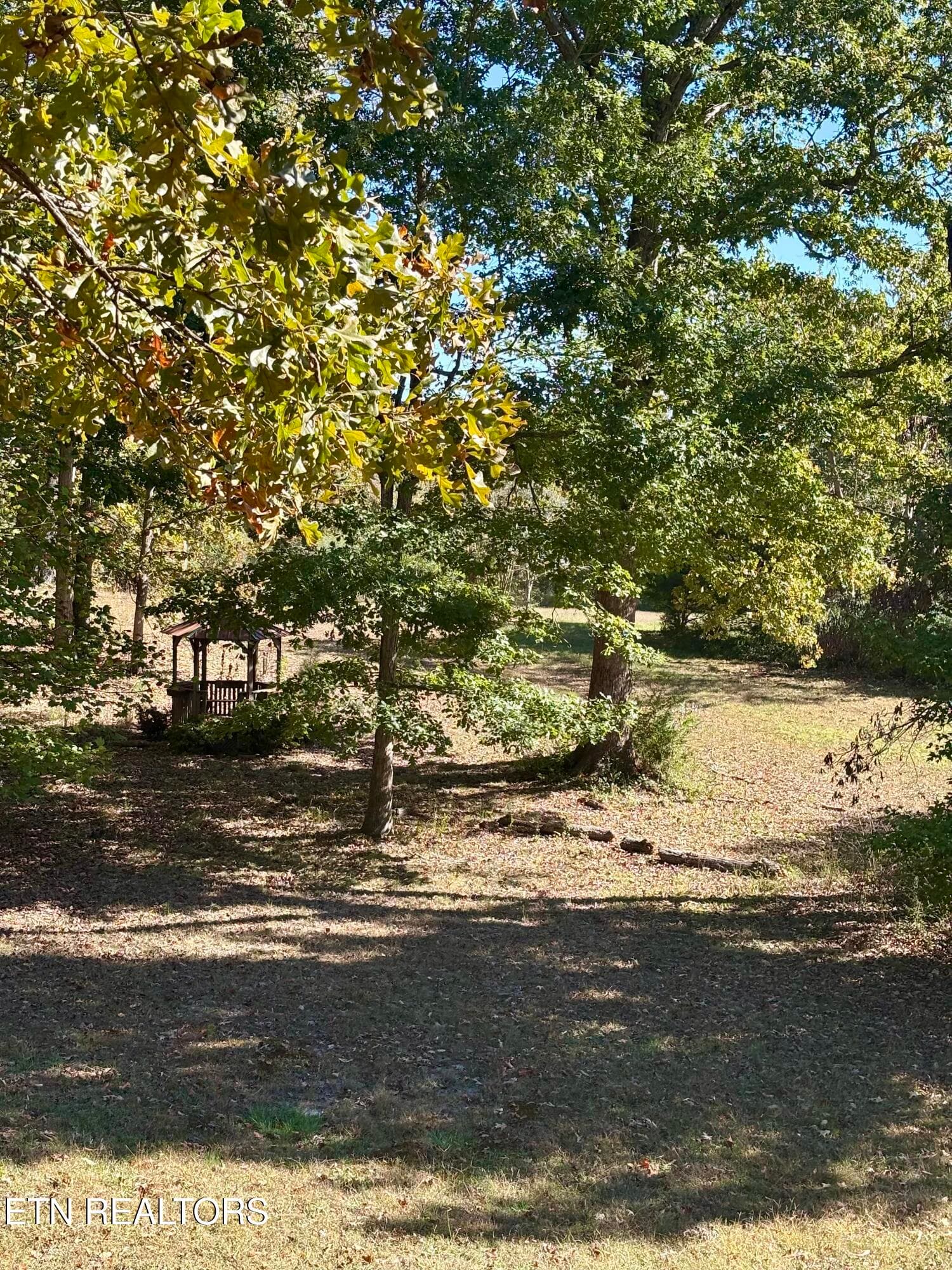 IMG_1761 - 288 Co Rd 158, Riceville, TN 37370