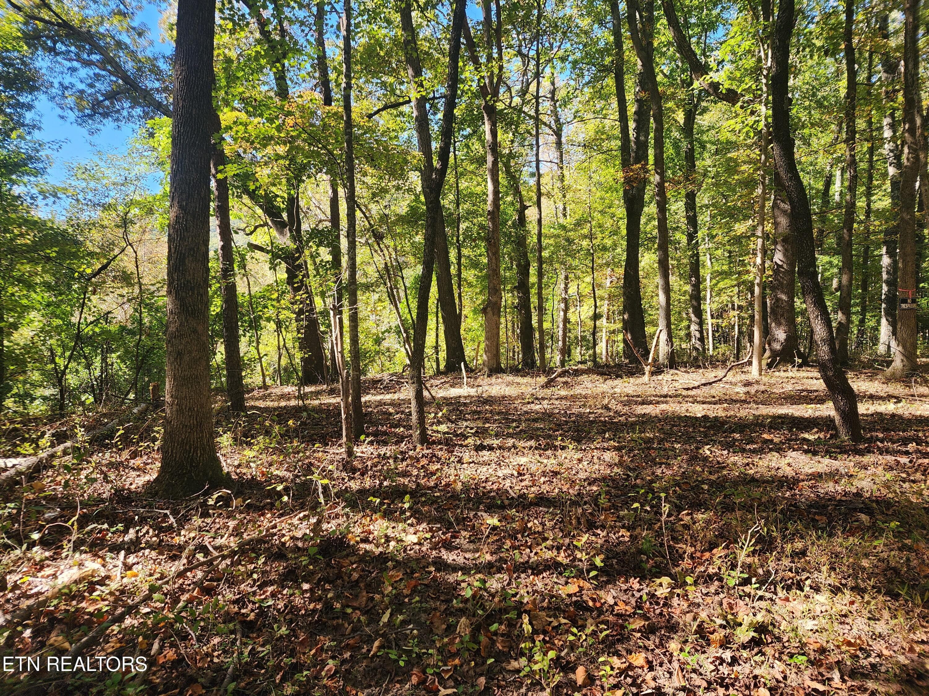 S Chamberlain Ave, Rockwood, TN 37854