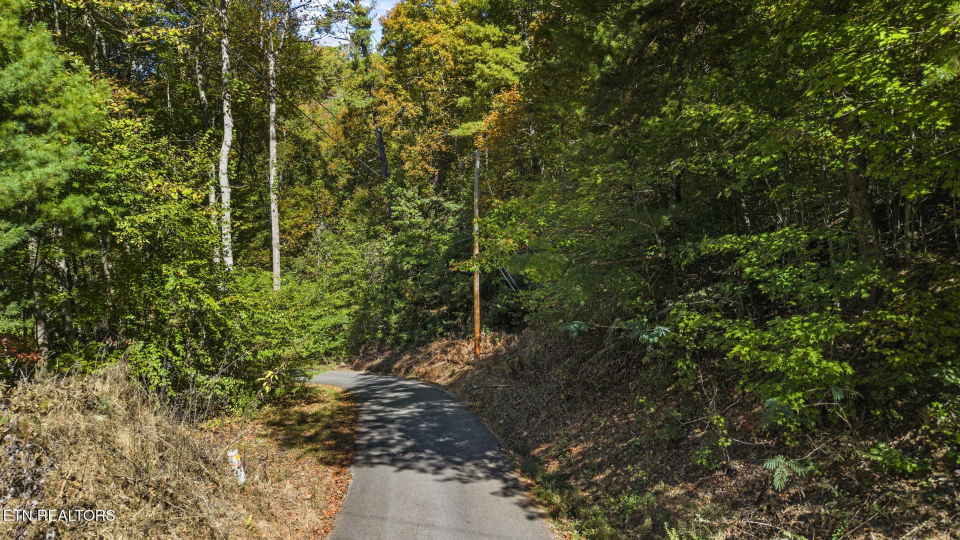 dji_20261020125544_0698_d - S King Branch Rd, Sevierville, TN 37876