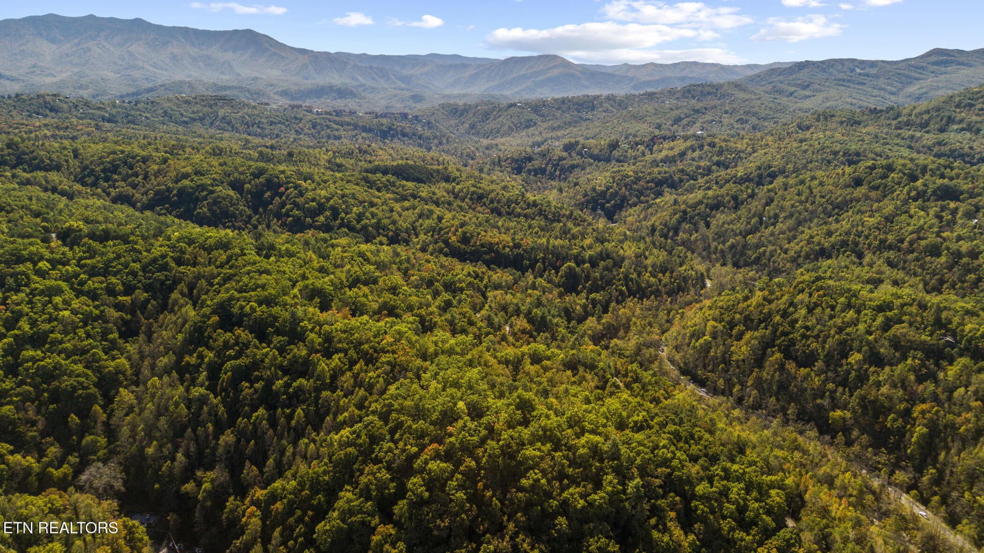 dji_20261020130226_0725_d - S King Branch Rd, Sevierville, TN 37876