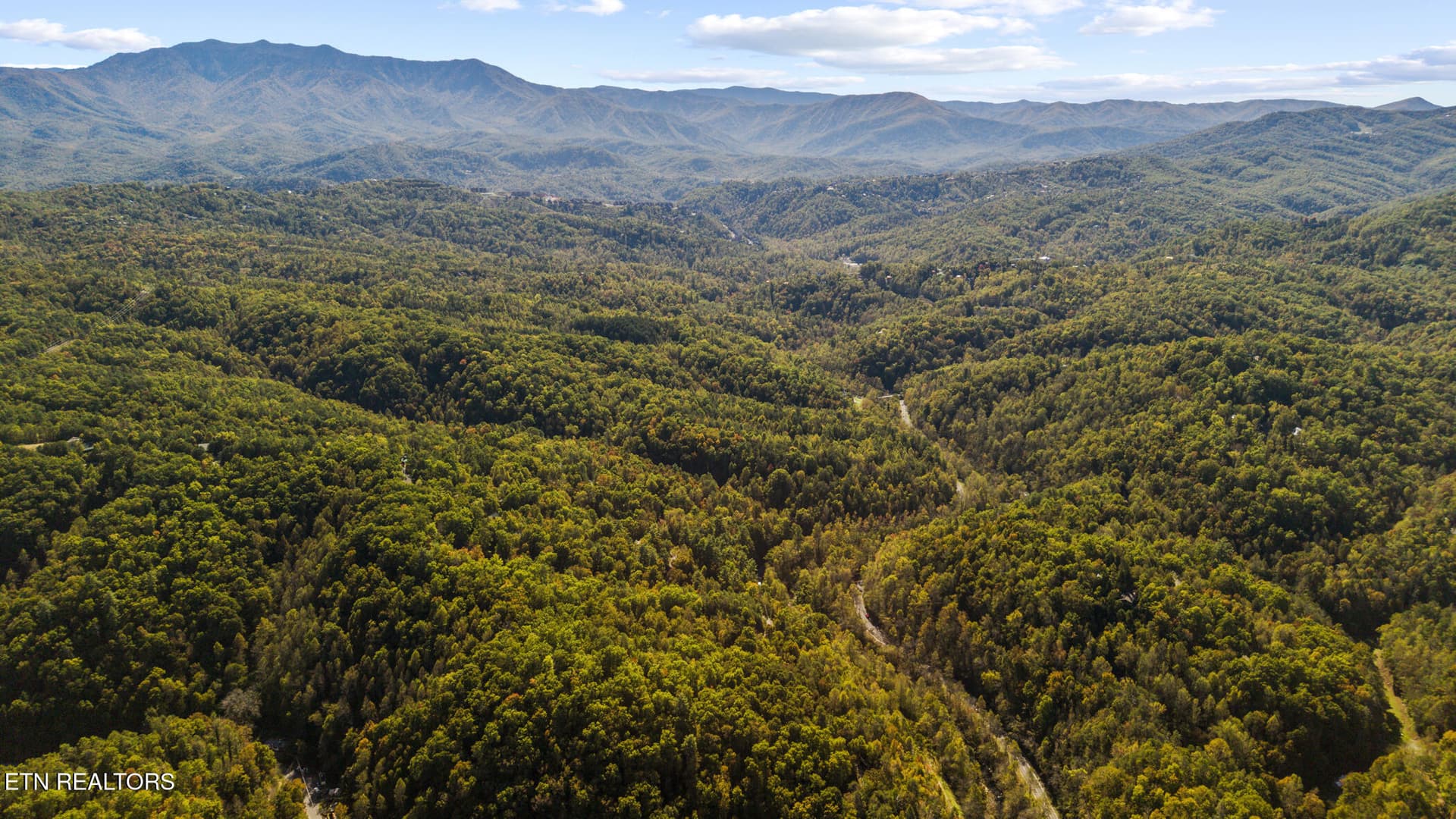 dji_20261020130252_0728_d - S King Branch Rd, Sevierville, TN 37876