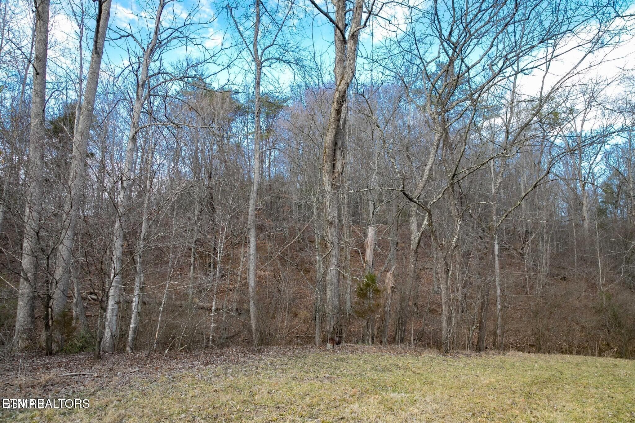 151475177-hr - Lot 10 Tarwater Lane, Sevierville, TN 37862
