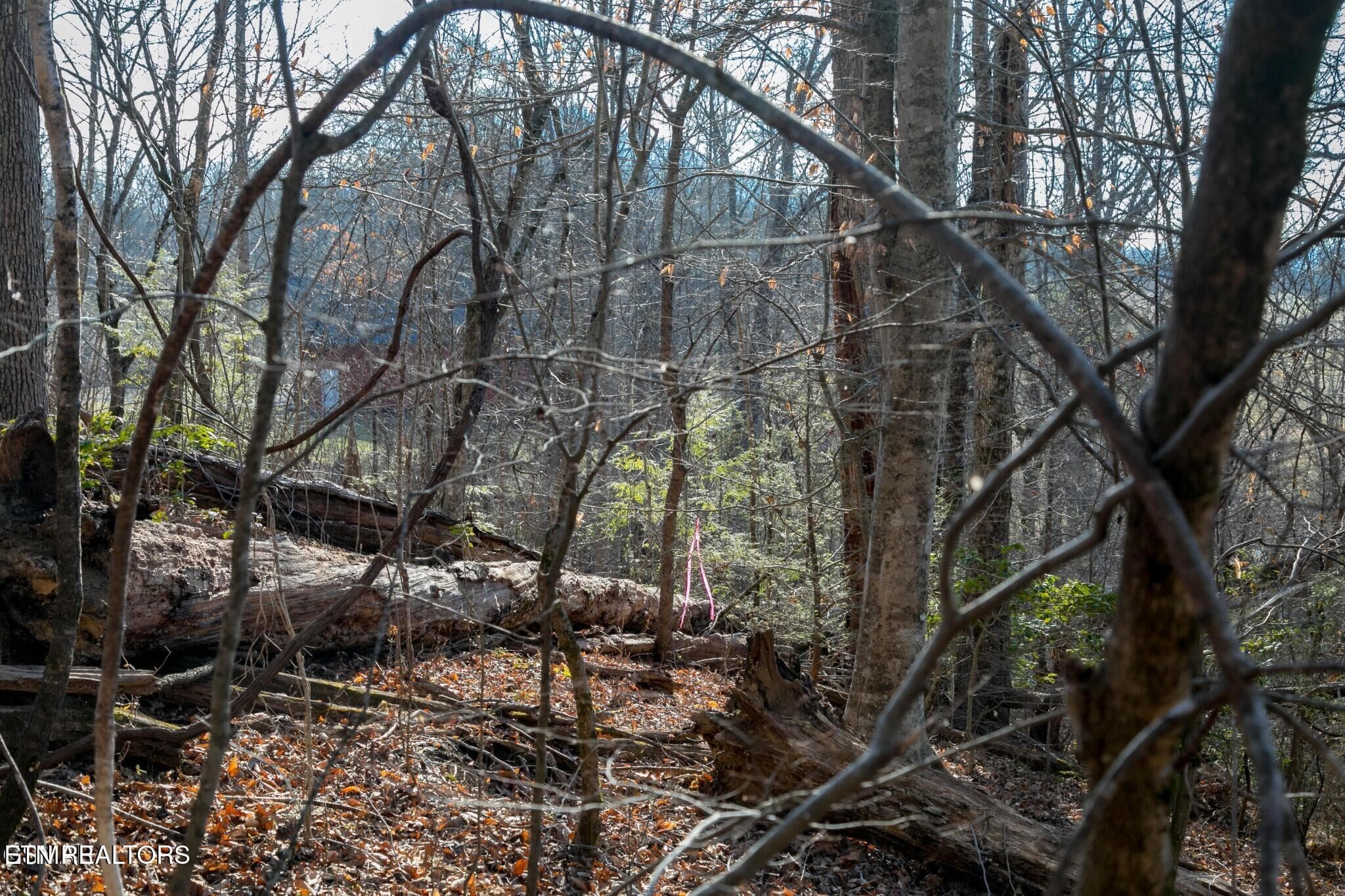 151475154-hr - Lot 10 Tarwater Lane, Sevierville, TN 37862