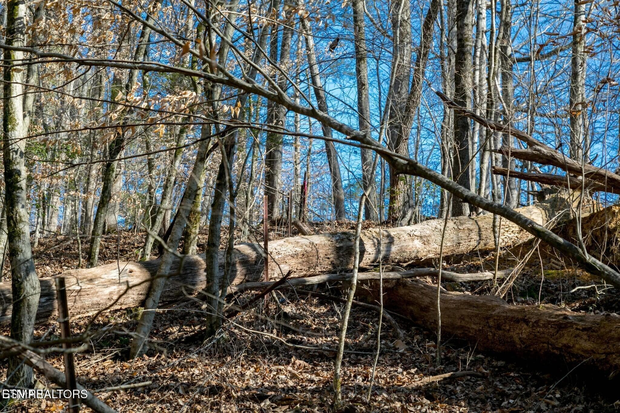 151475144-hr - Lot 10 Tarwater Lane, Sevierville, TN 37862
