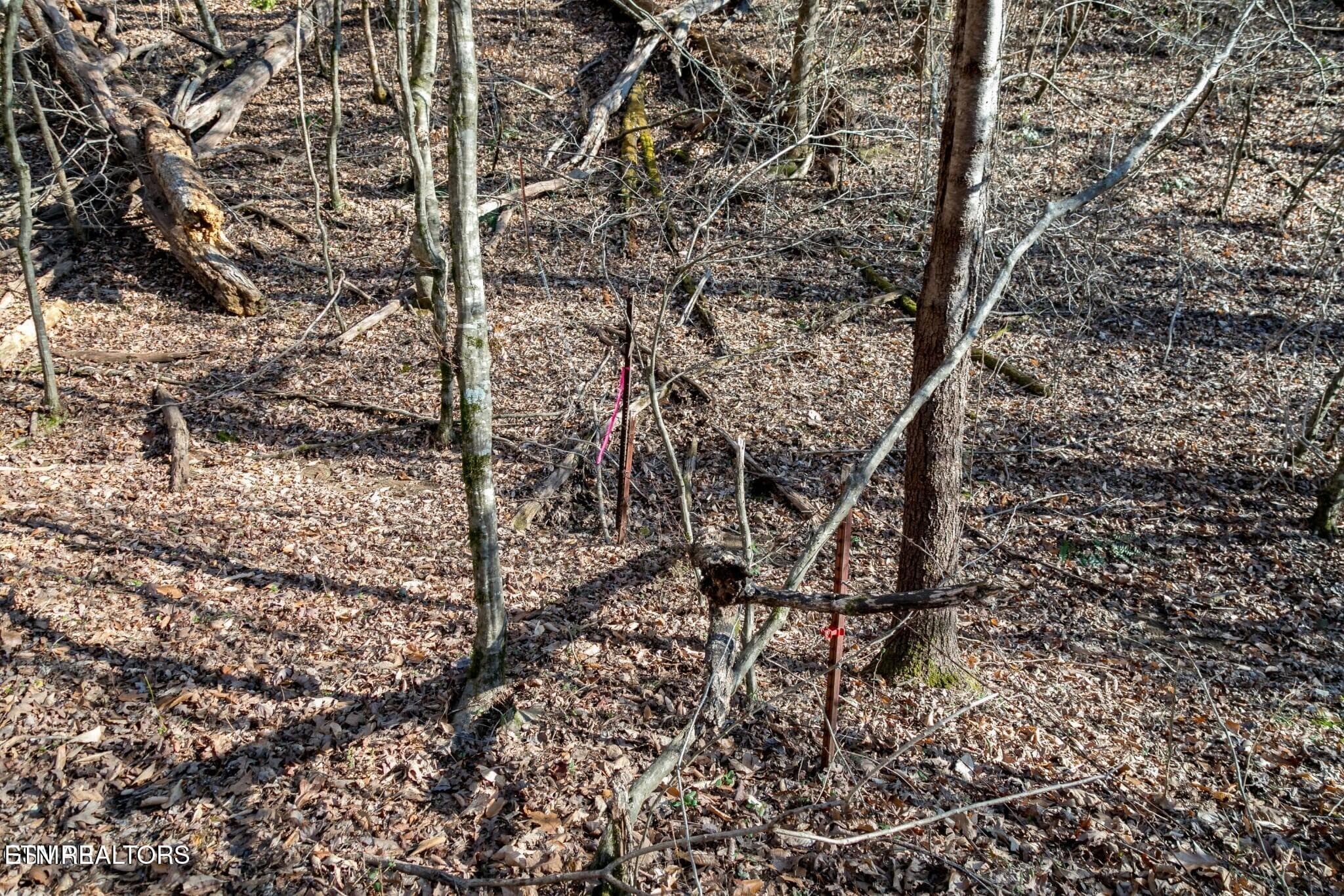 151475125-hr - Lot 10 Tarwater Lane, Sevierville, TN 37862