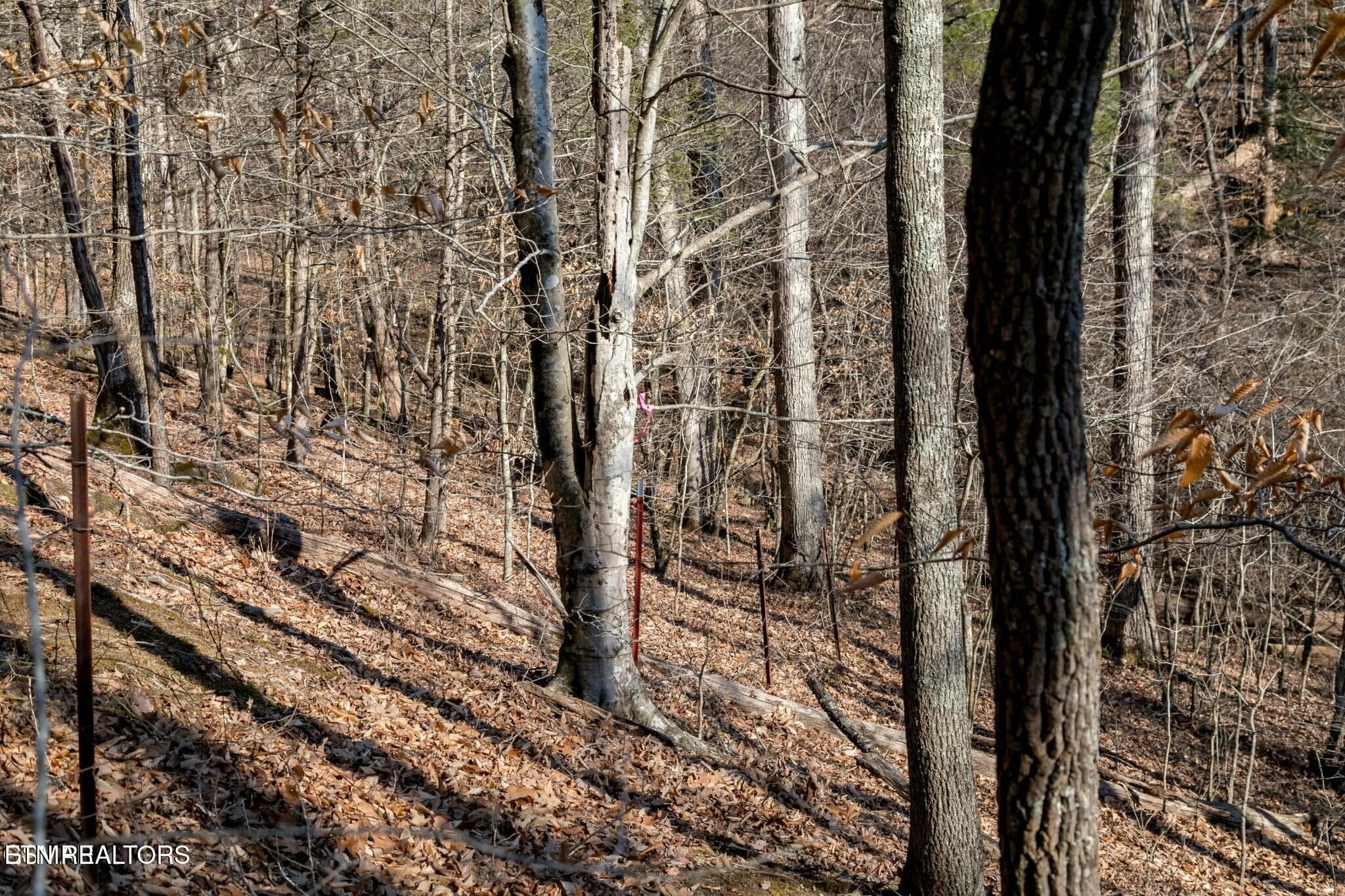 151475105-hr - Lot 10 Tarwater Lane, Sevierville, TN 37862