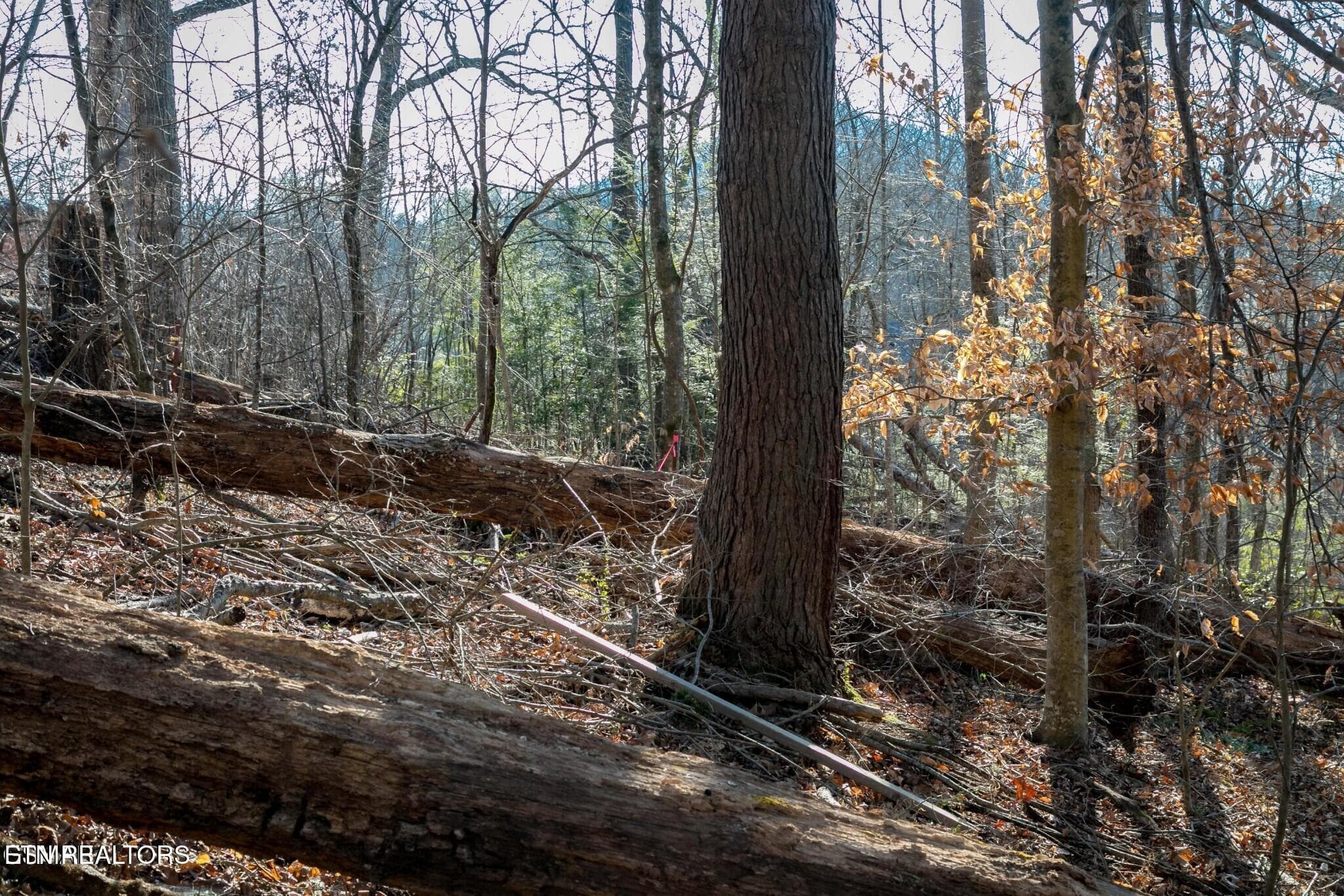151475009-hr - Lot 10 Tarwater Lane, Sevierville, TN 37862