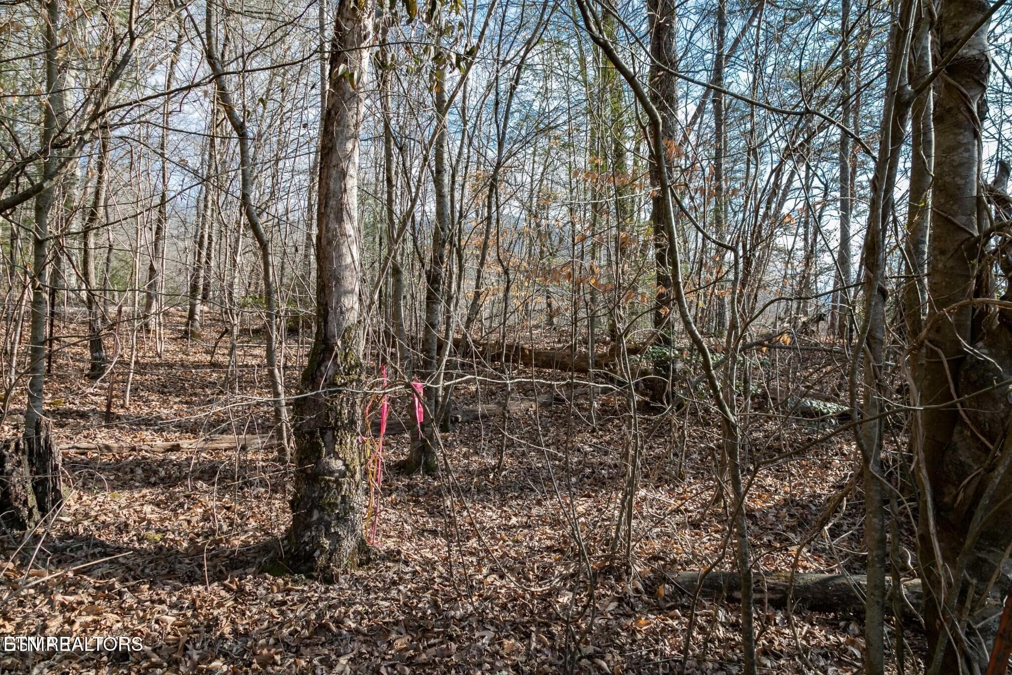 151474890-hr - Lot 10 Tarwater Lane, Sevierville, TN 37862