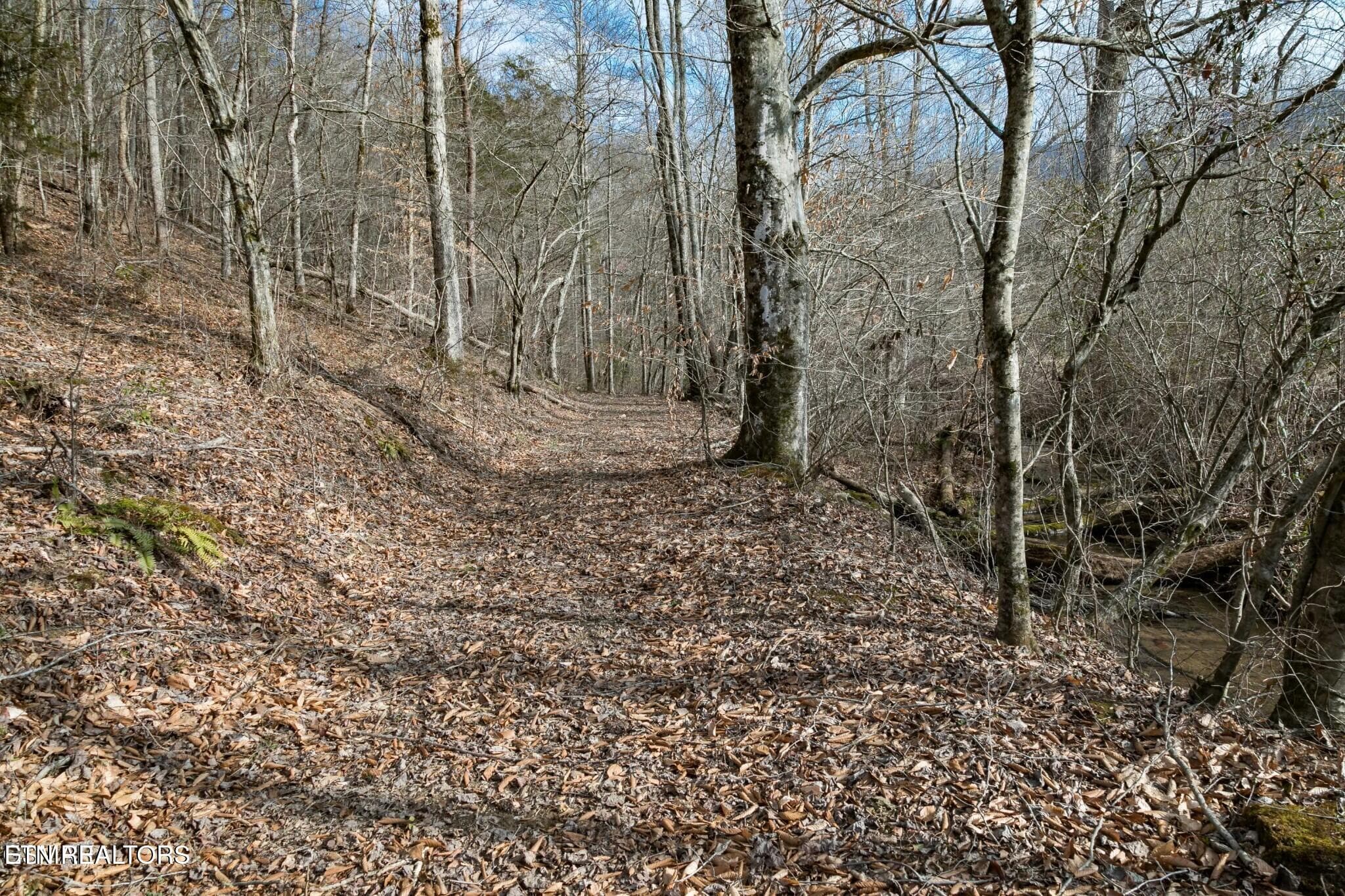 151474876-hr - Lot 10 Tarwater Lane, Sevierville, TN 37862