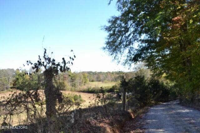 DSC_0002 - 10ac Bob Dennings Rd, Allons, TN 38541