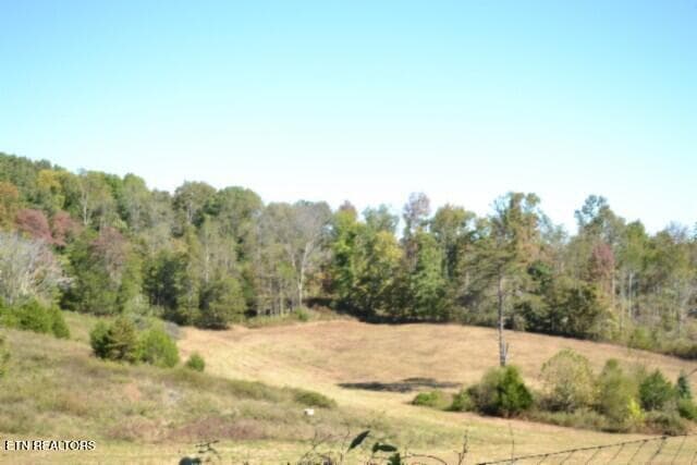DSC_0006 - 10ac Bob Dennings Rd, Allons, TN 38541