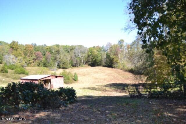 DSC_0009 - 10ac Bob Dennings Rd, Allons, TN 38541