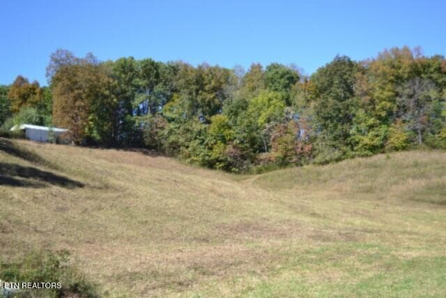 DSC_0021 - 10ac Bob Dennings Rd, Allons, TN 38541