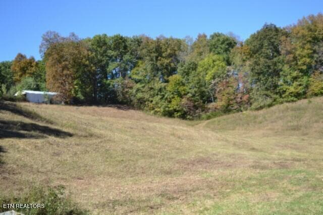 DSC_0022 - 10ac Bob Dennings Rd, Allons, TN 38541