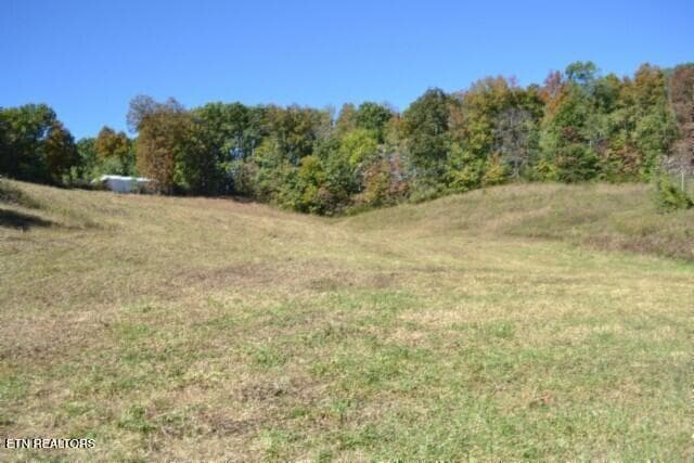 DSC_0027 - 10ac Bob Dennings Rd, Allons, TN 38541