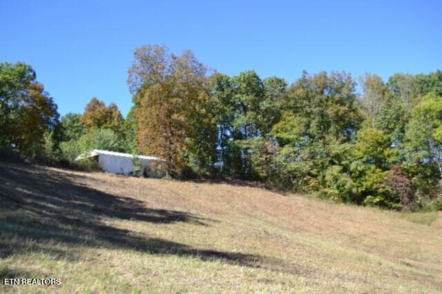 DSC_0054 - 10ac Bob Dennings Rd, Allons, TN 38541