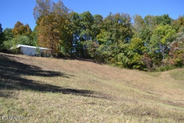 DSC_0057 - 10ac Bob Dennings Rd, Allons, TN 38541