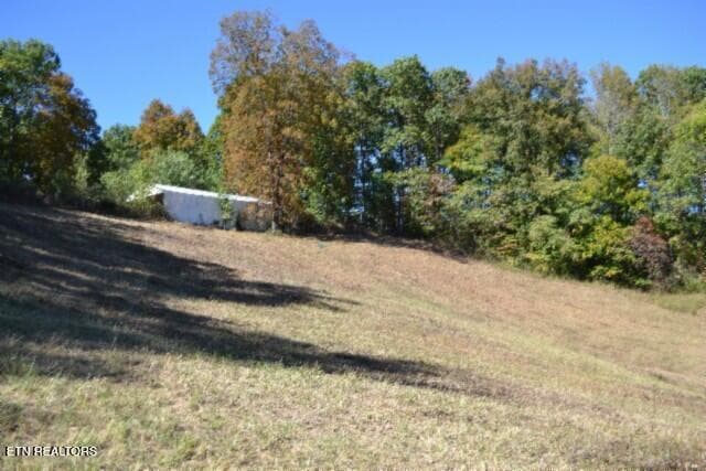 DSC_0059 - 10ac Bob Dennings Rd, Allons, TN 38541
