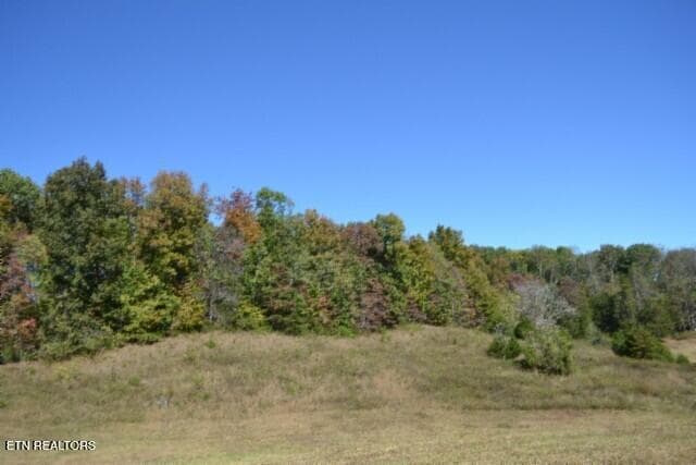 DSC_0060 - 10ac Bob Dennings Rd, Allons, TN 38541