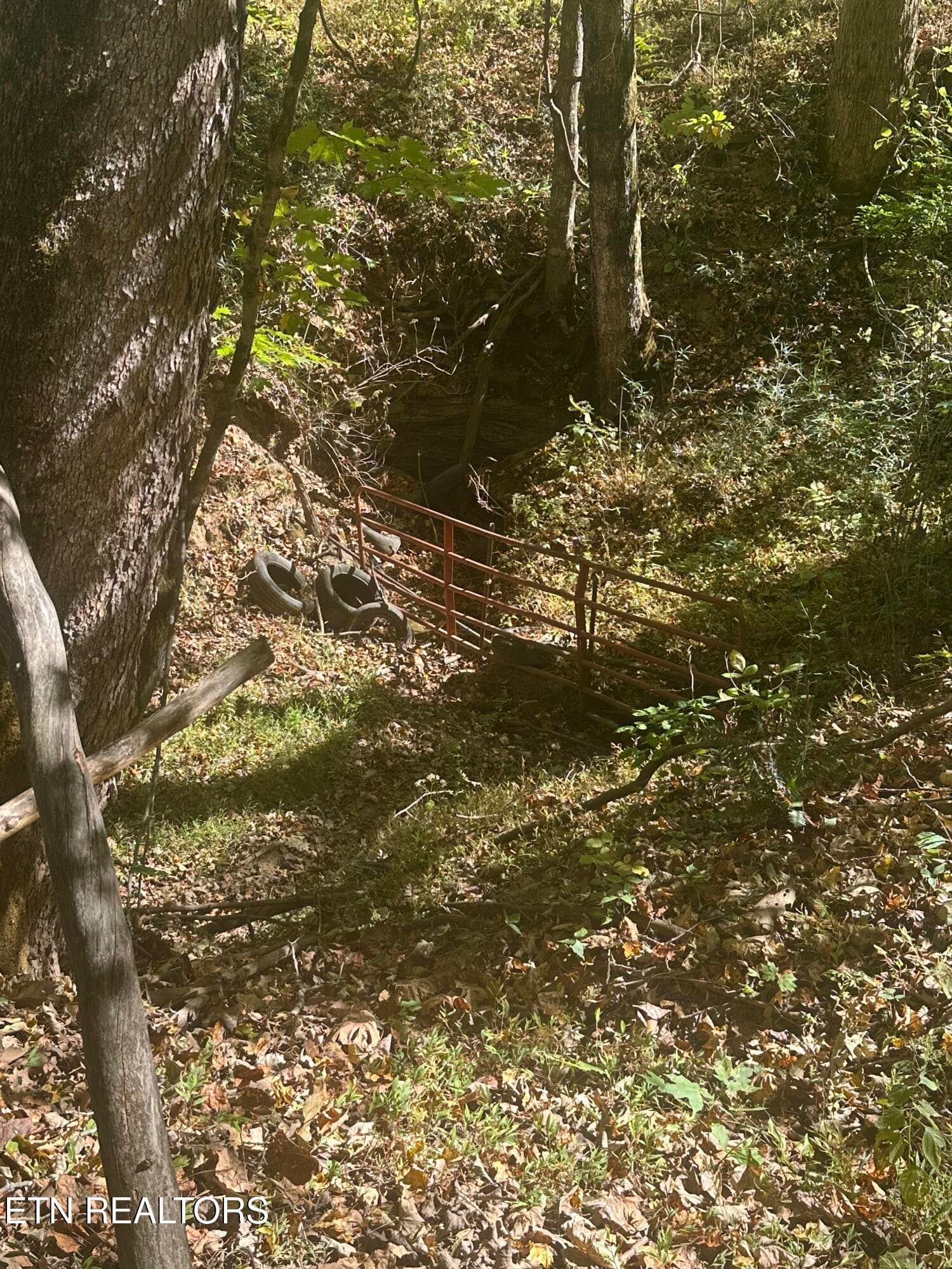CREEK USE - 10ac Bob Dennings Rd, Allons, TN 38541