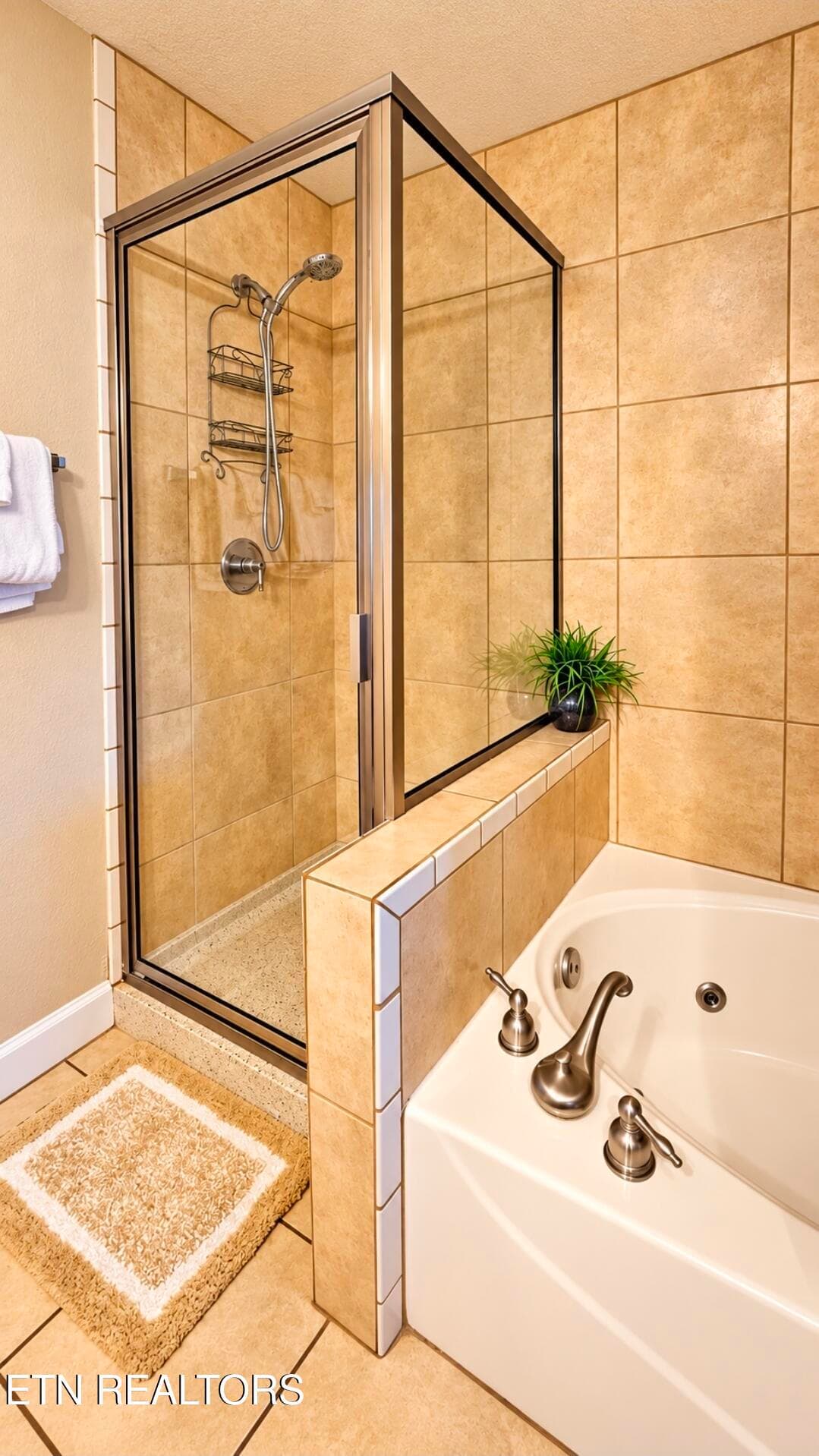 Shower area - 124 Plaza Drive UNIT 5406, Pigeon Forge, TN 37863