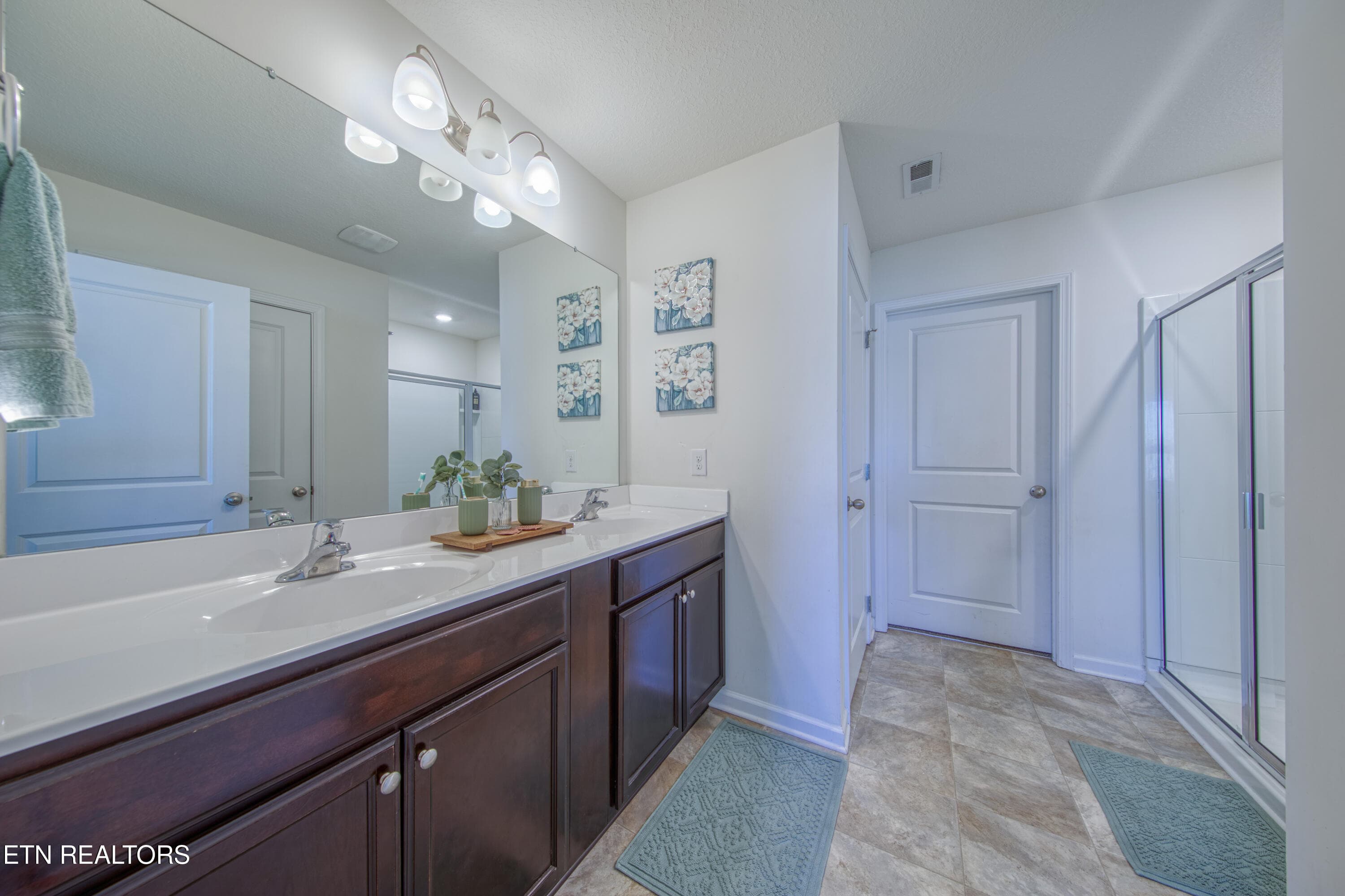 master bath - 460 Cedar Park Drive, Loudon, TN 37774
