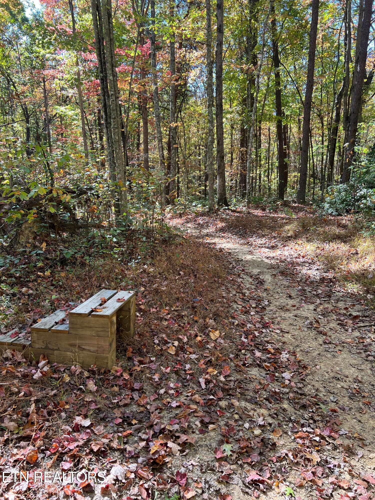 IMG_4003 - 1230 Darrow Ridge Rd, Jamestown, TN 38556