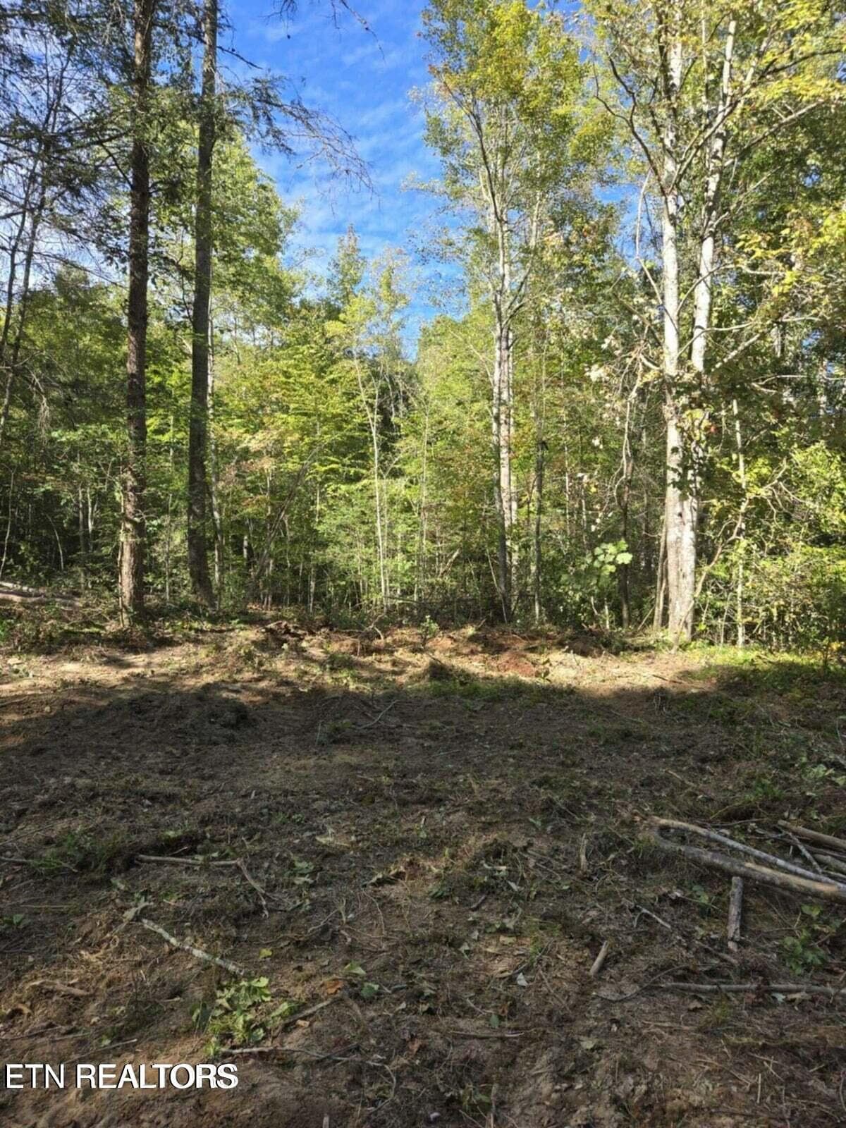 176 Fox Lane, Mooresburg, TN 37811