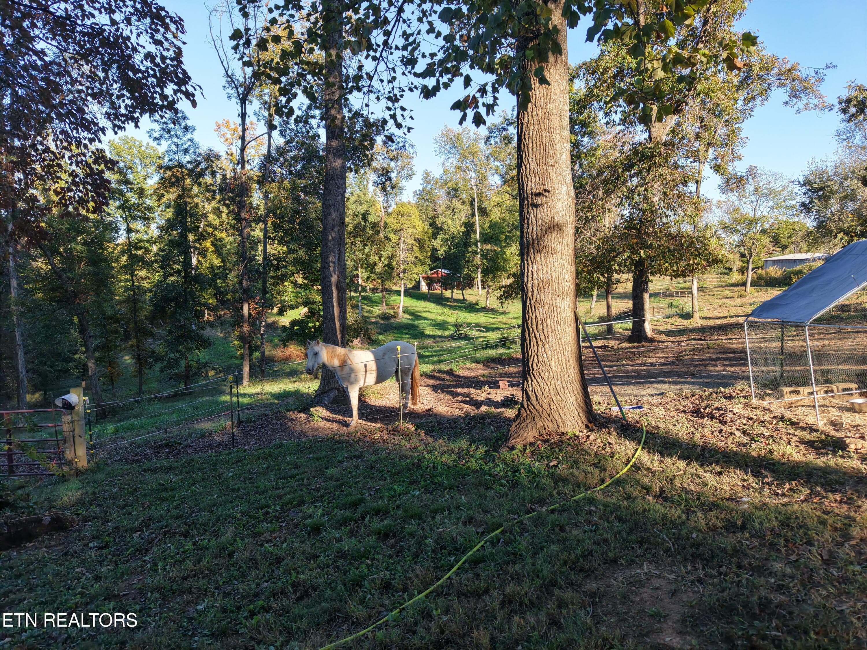 DJI_20261024051200_0010_D - 145 Linwood Drive, Sweetwater, TN 37874
