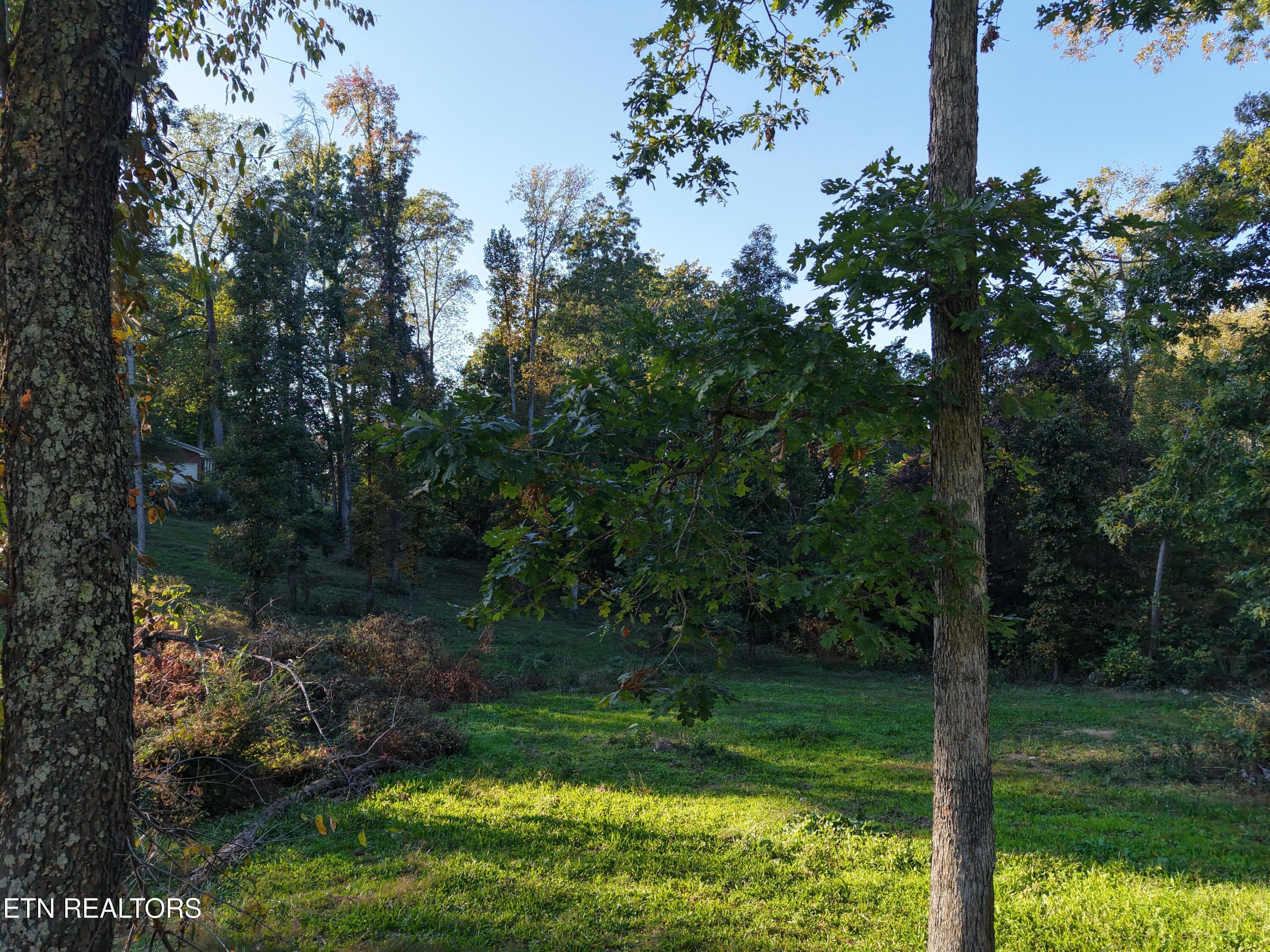 DJI_20261024052410_0021_D - 145 Linwood Drive, Sweetwater, TN 37874