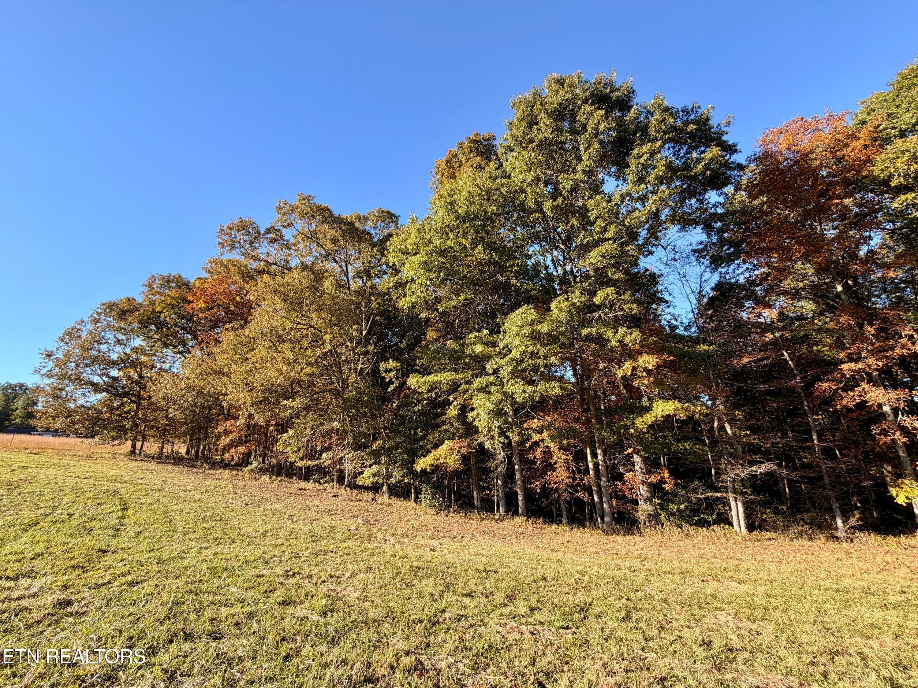 9 - Poke Patch Rd, Crossville, TN 38572