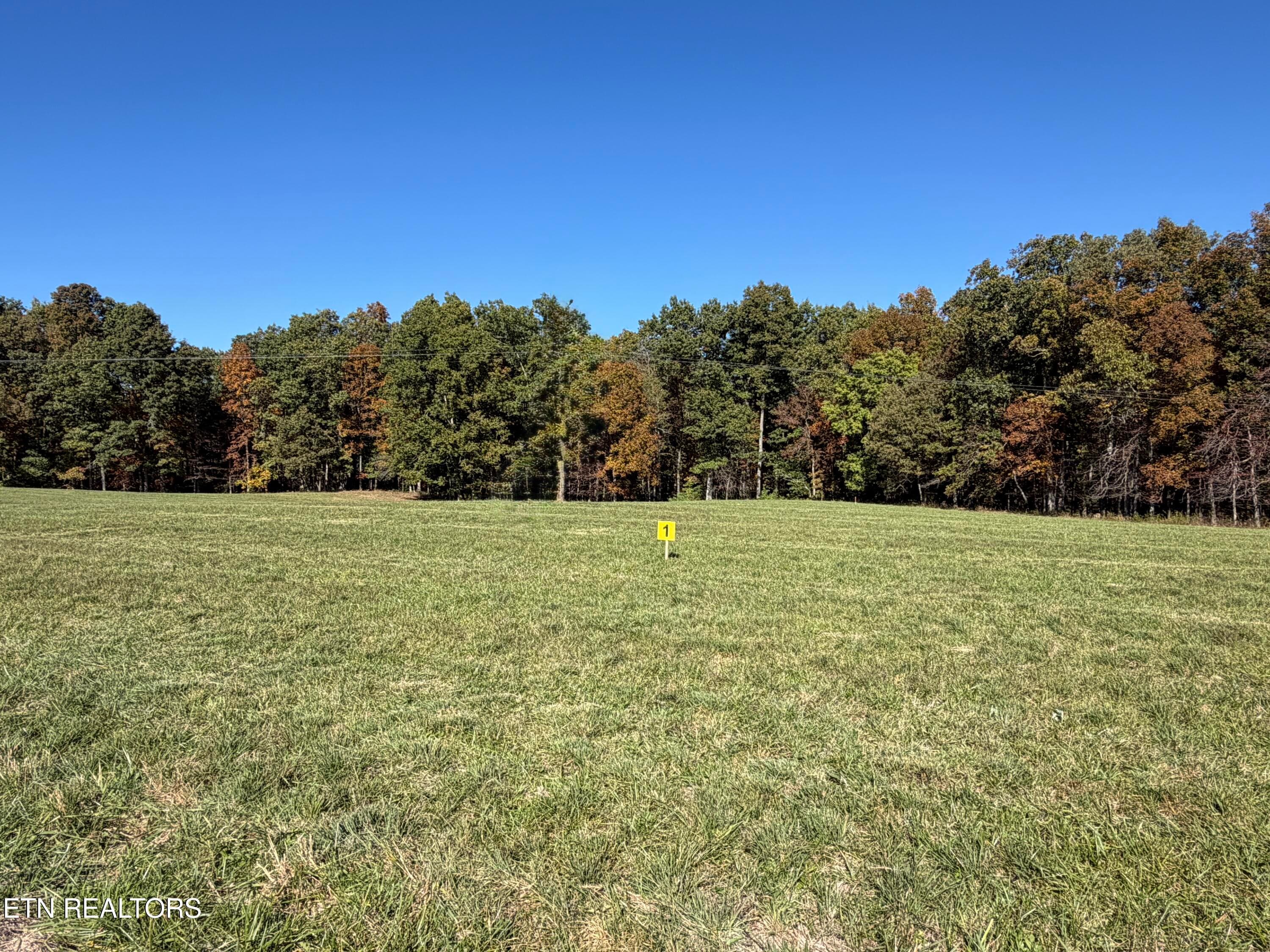 IMG_3439 - Poke Patch Rd, Crossville, TN 38572