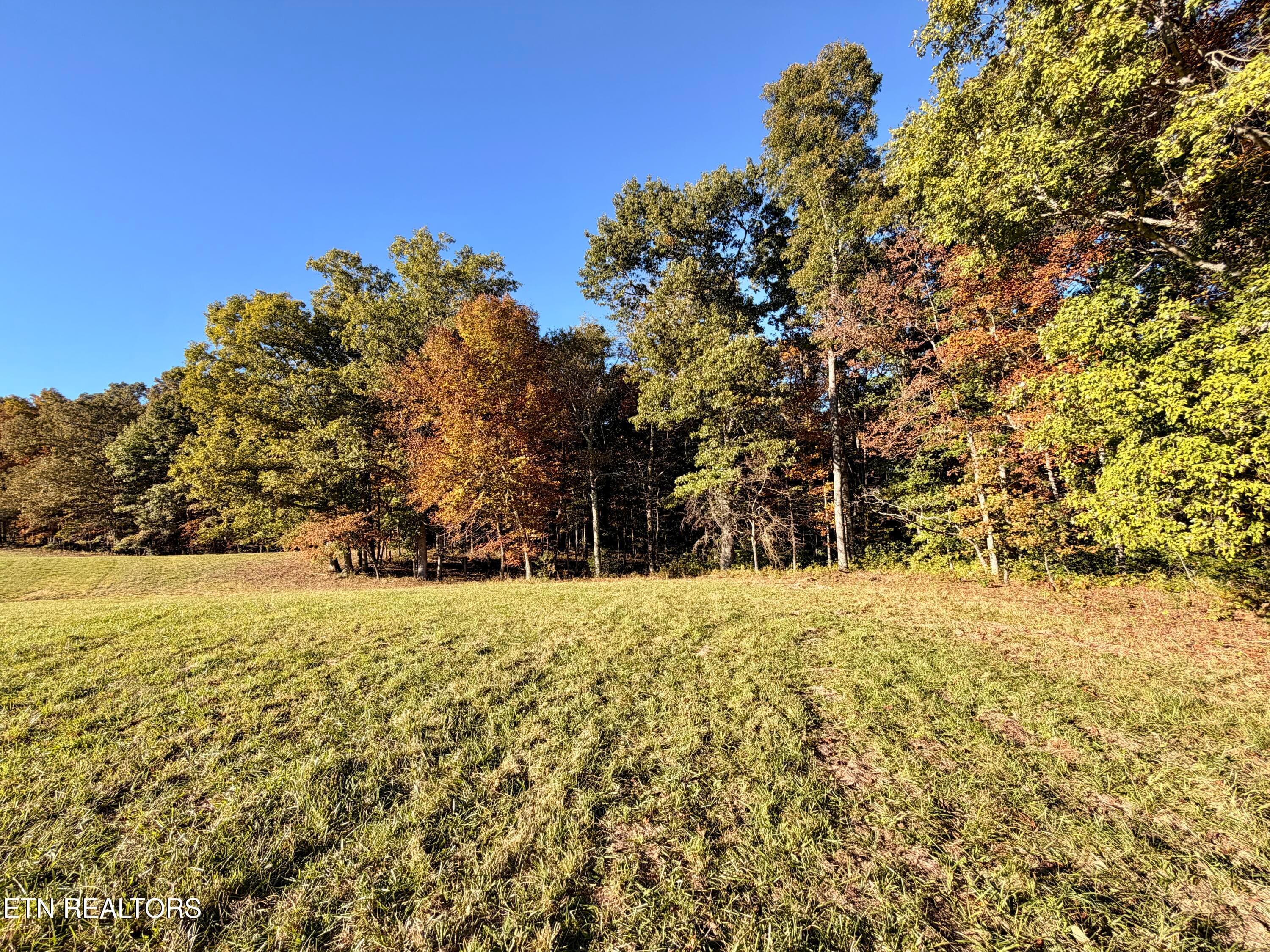 IMG_5966 - Poke Patch Rd, Crossville, TN 38572