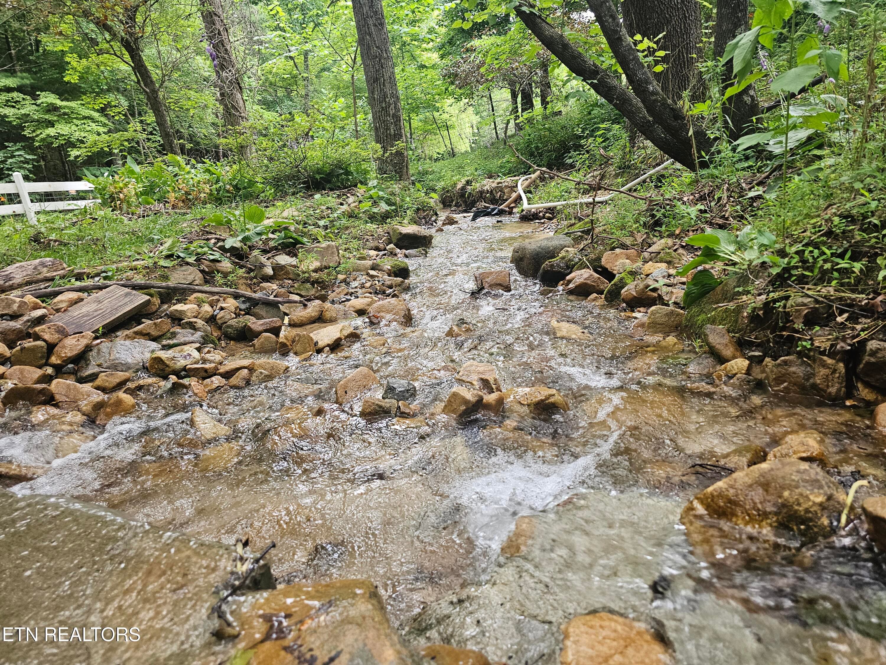 20260618_180014 - 925 Tweed Springs Rd, Greeneville, TN 37743