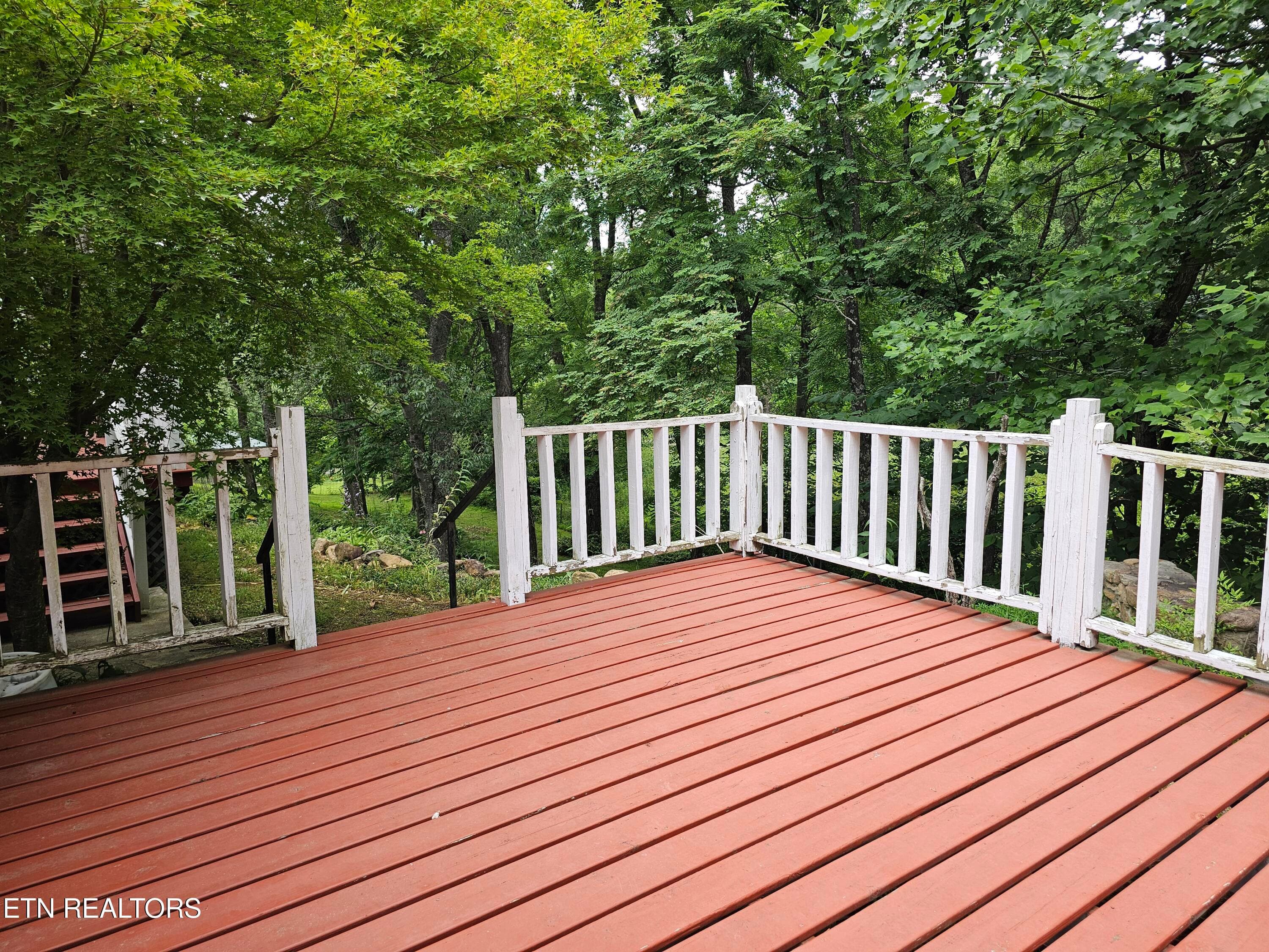 20260618_172817 - 925 Tweed Springs Rd, Greeneville, TN 37743