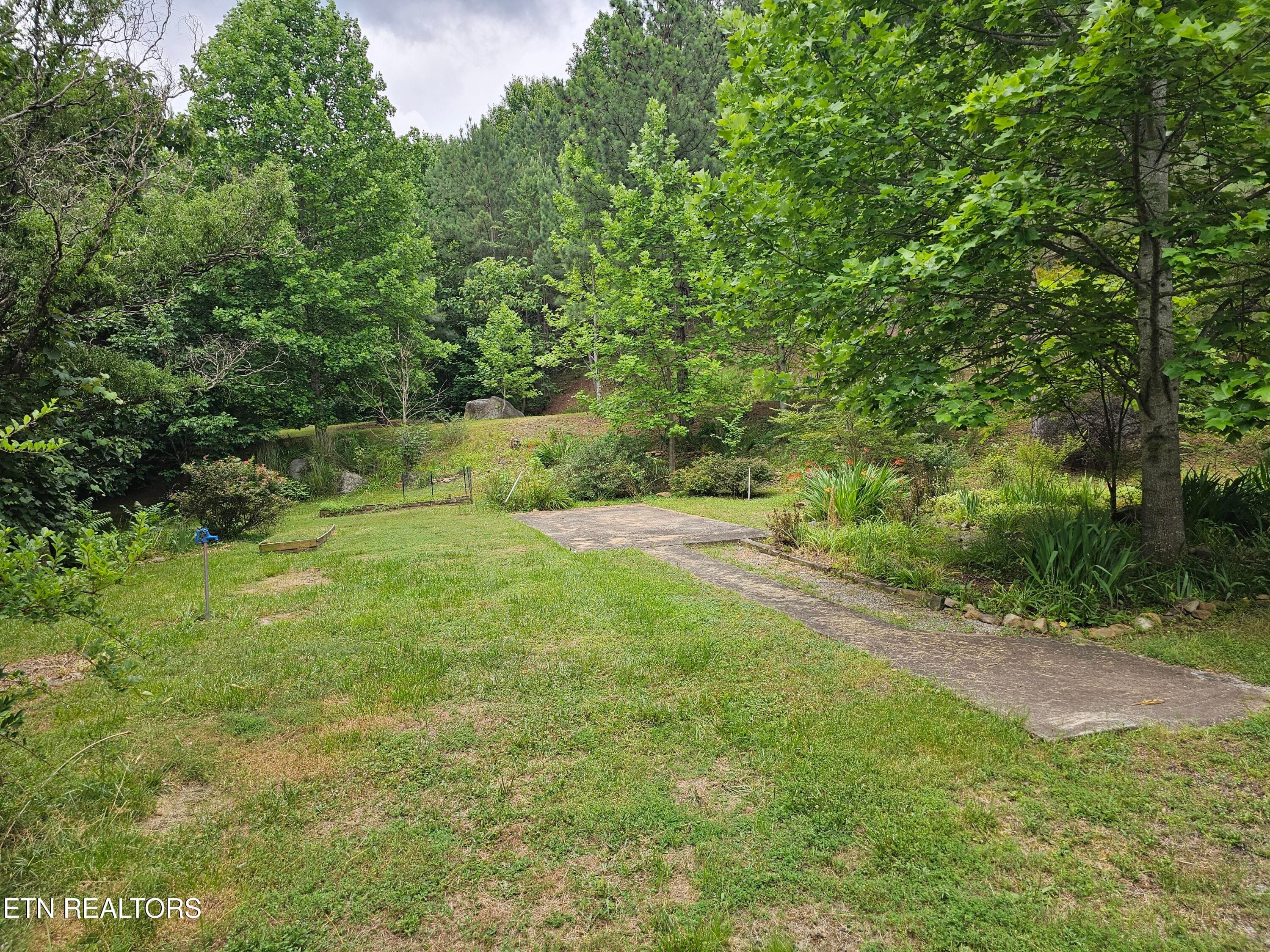 20260618_173018 - 925 Tweed Springs Rd, Greeneville, TN 37743