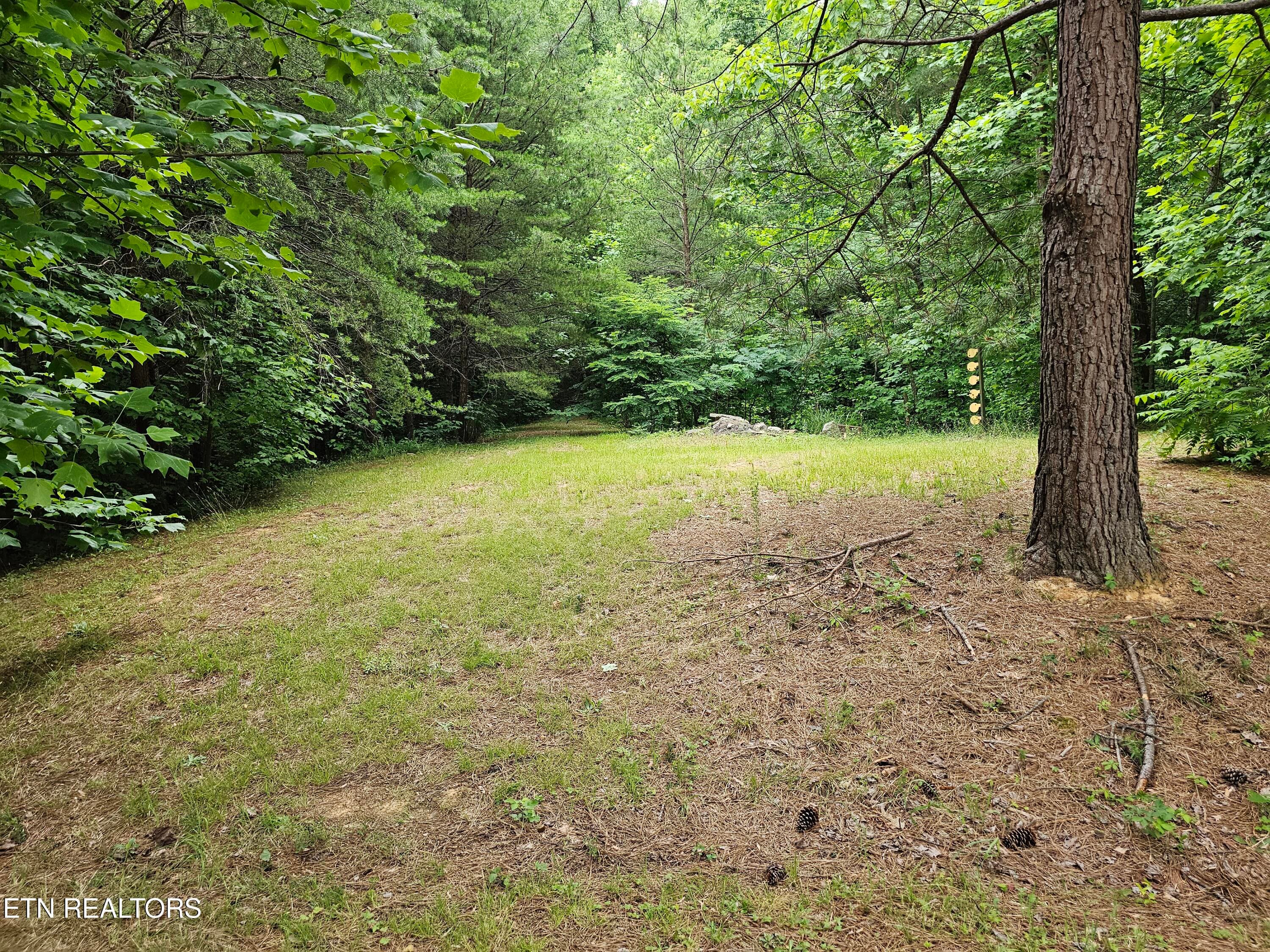 20260618_173132 - 925 Tweed Springs Rd, Greeneville, TN 37743