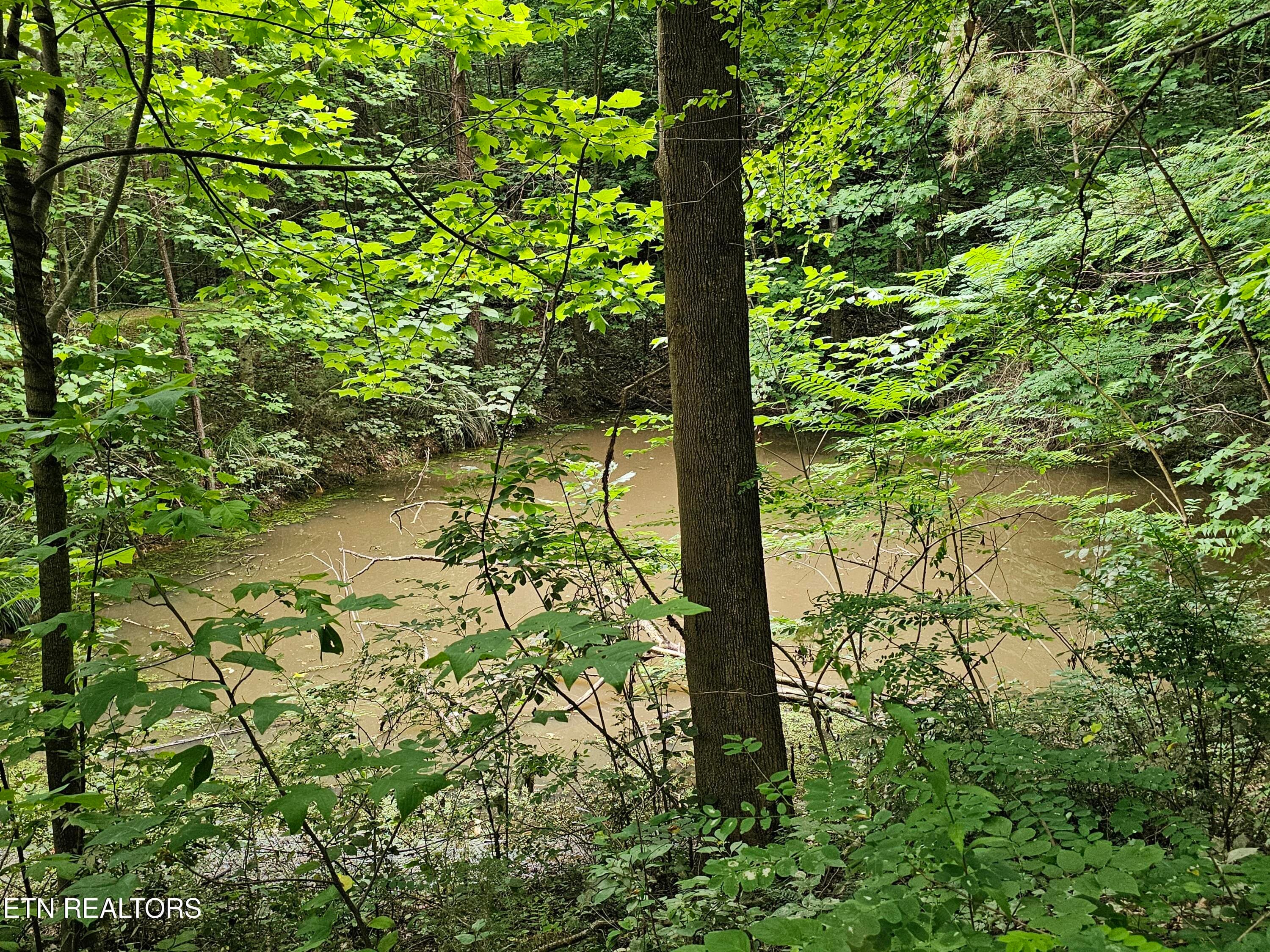 20260618_173216 - 925 Tweed Springs Rd, Greeneville, TN 37743