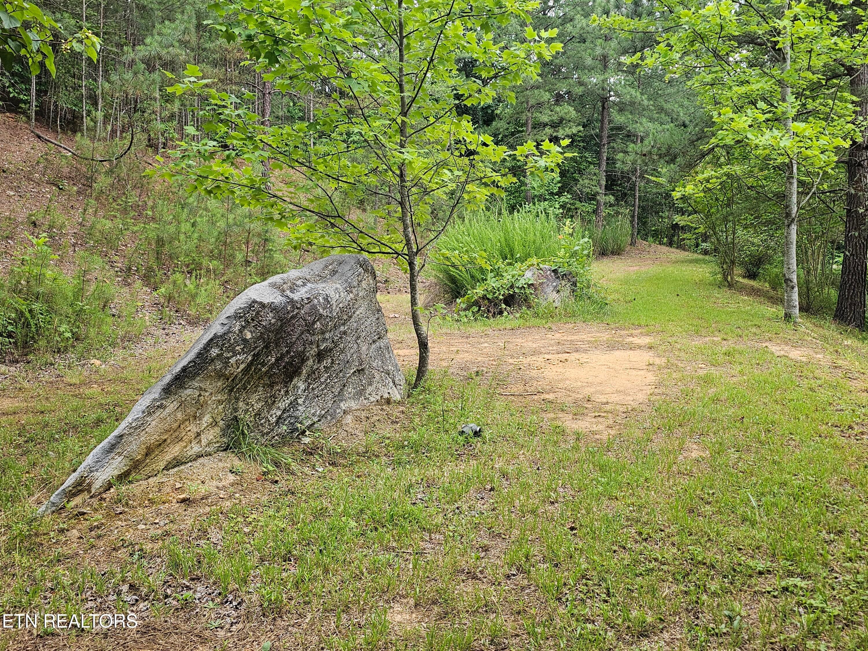 20260618_173241 - 925 Tweed Springs Rd, Greeneville, TN 37743