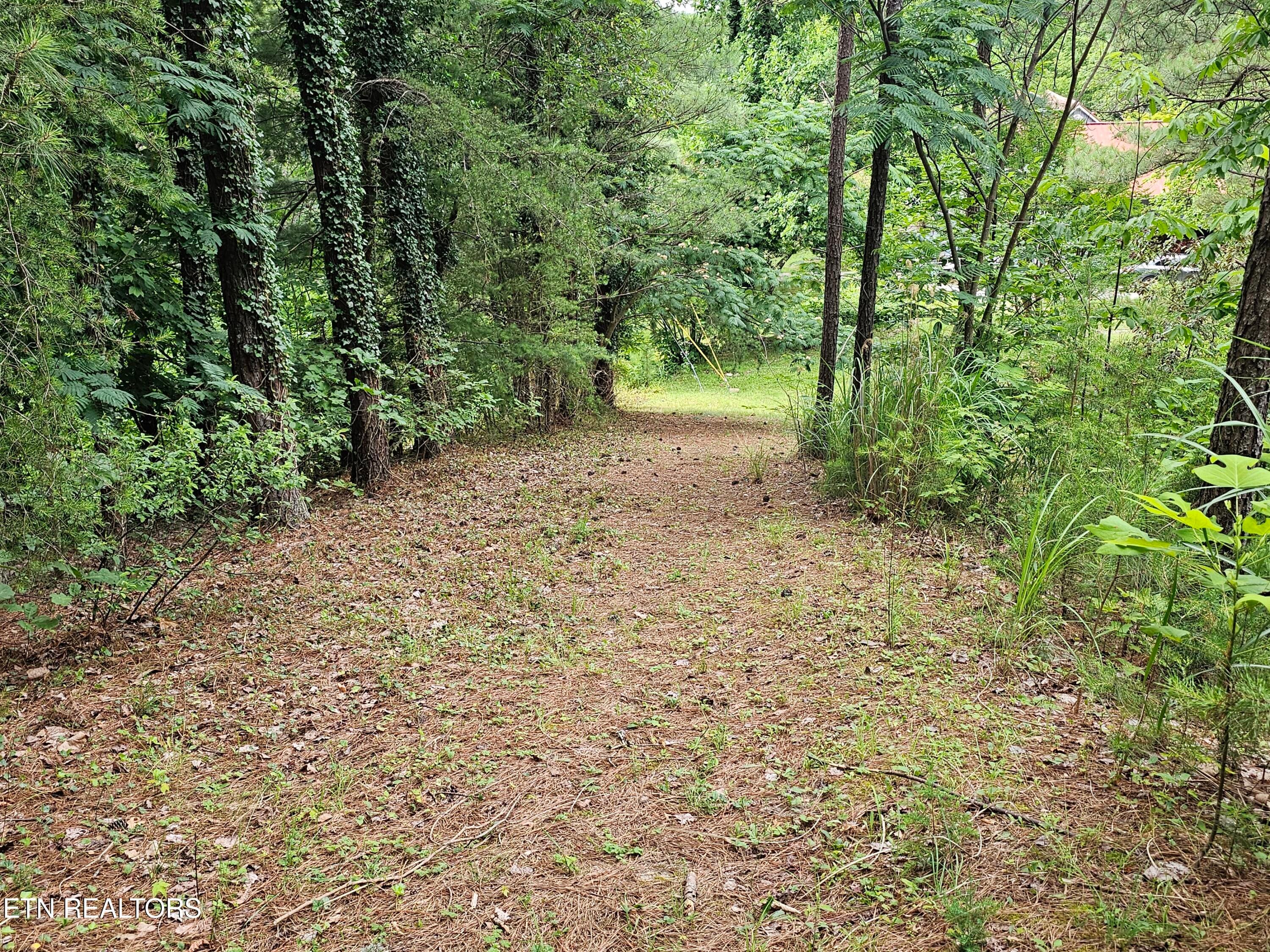 20260618_173440 - 925 Tweed Springs Rd, Greeneville, TN 37743