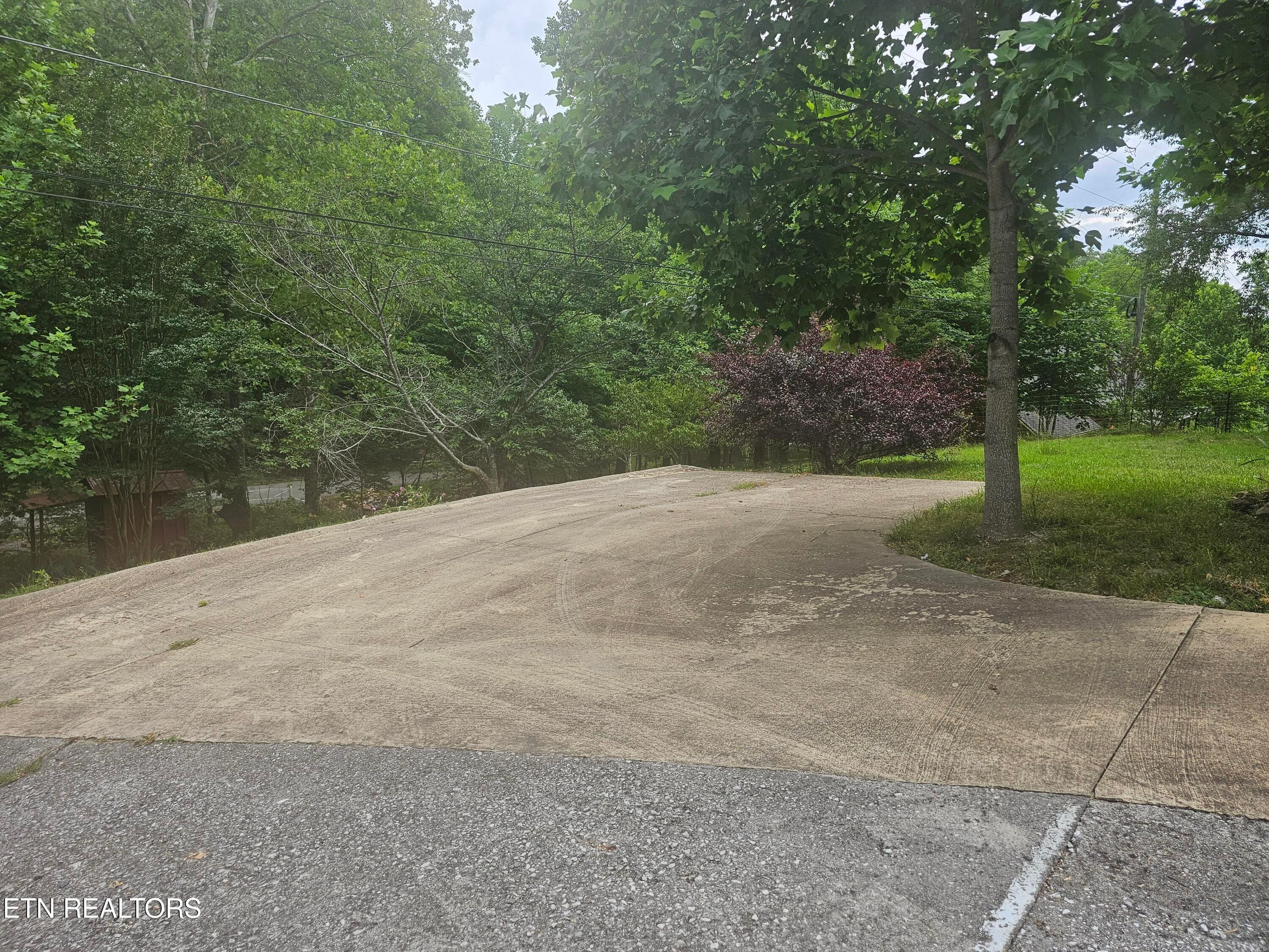 20260618_175556 - 925 Tweed Springs Rd, Greeneville, TN 37743