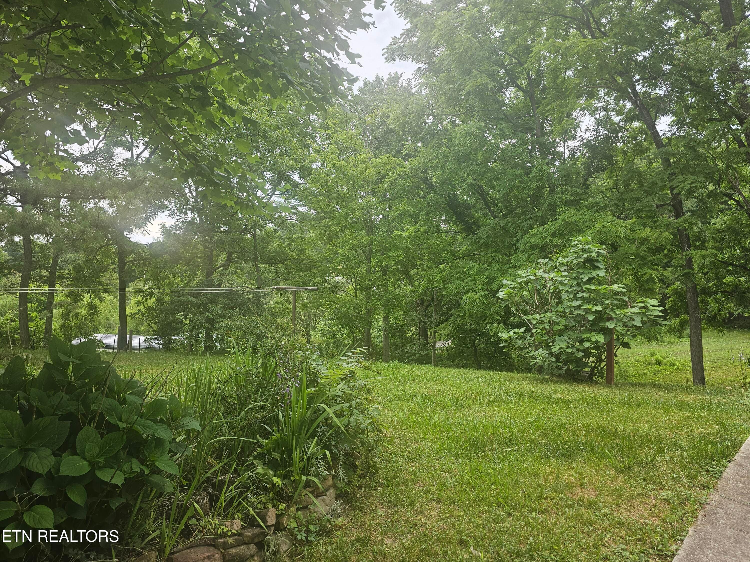 20260618_175605 - 925 Tweed Springs Rd, Greeneville, TN 37743